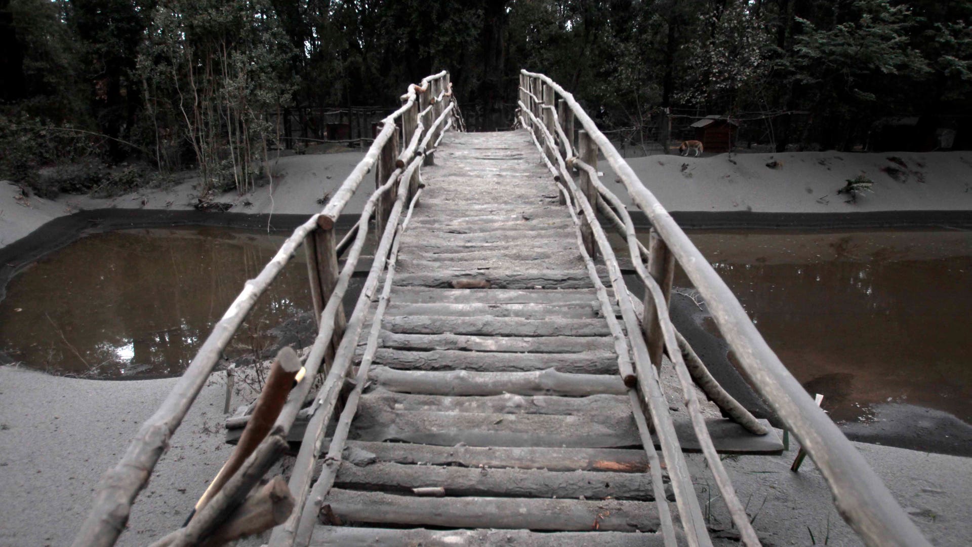 Chile_volcano_clean_up__2_
