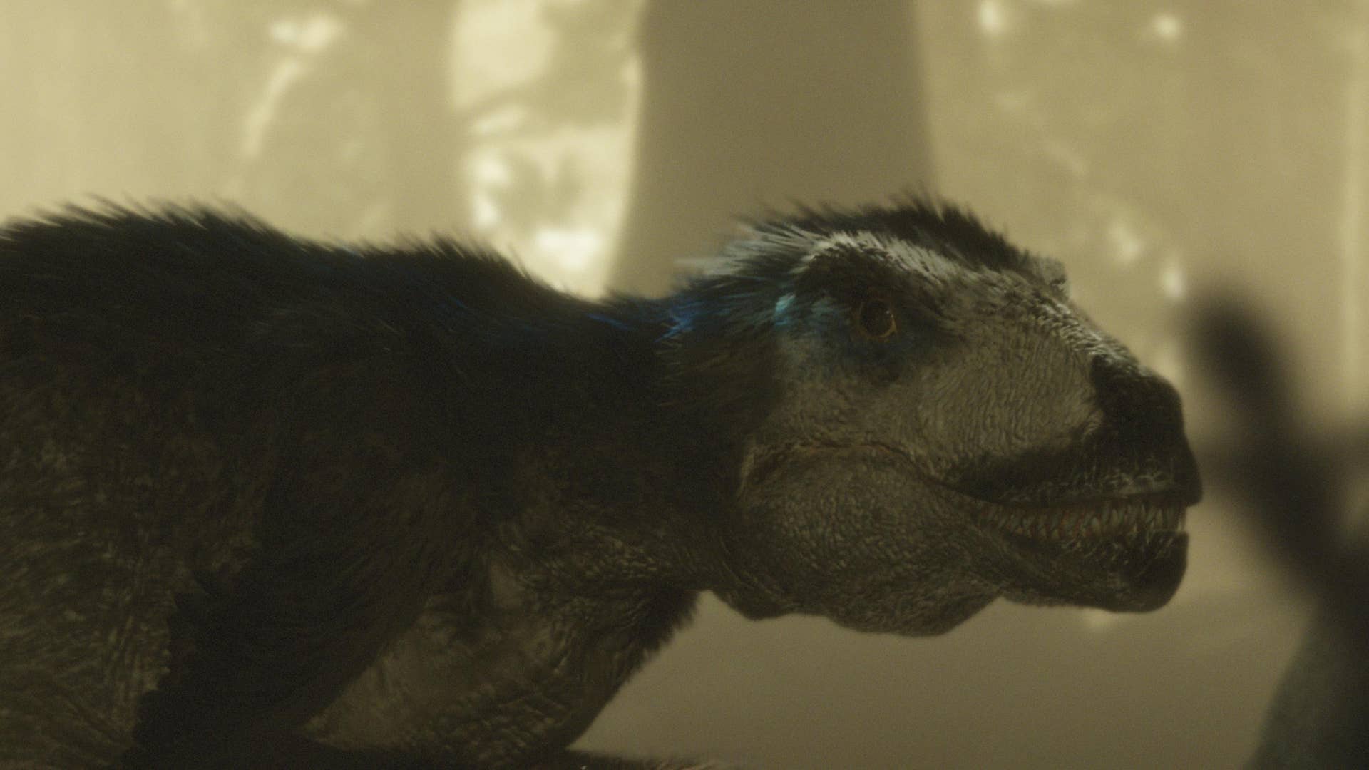 Clash of the Dinosaurs