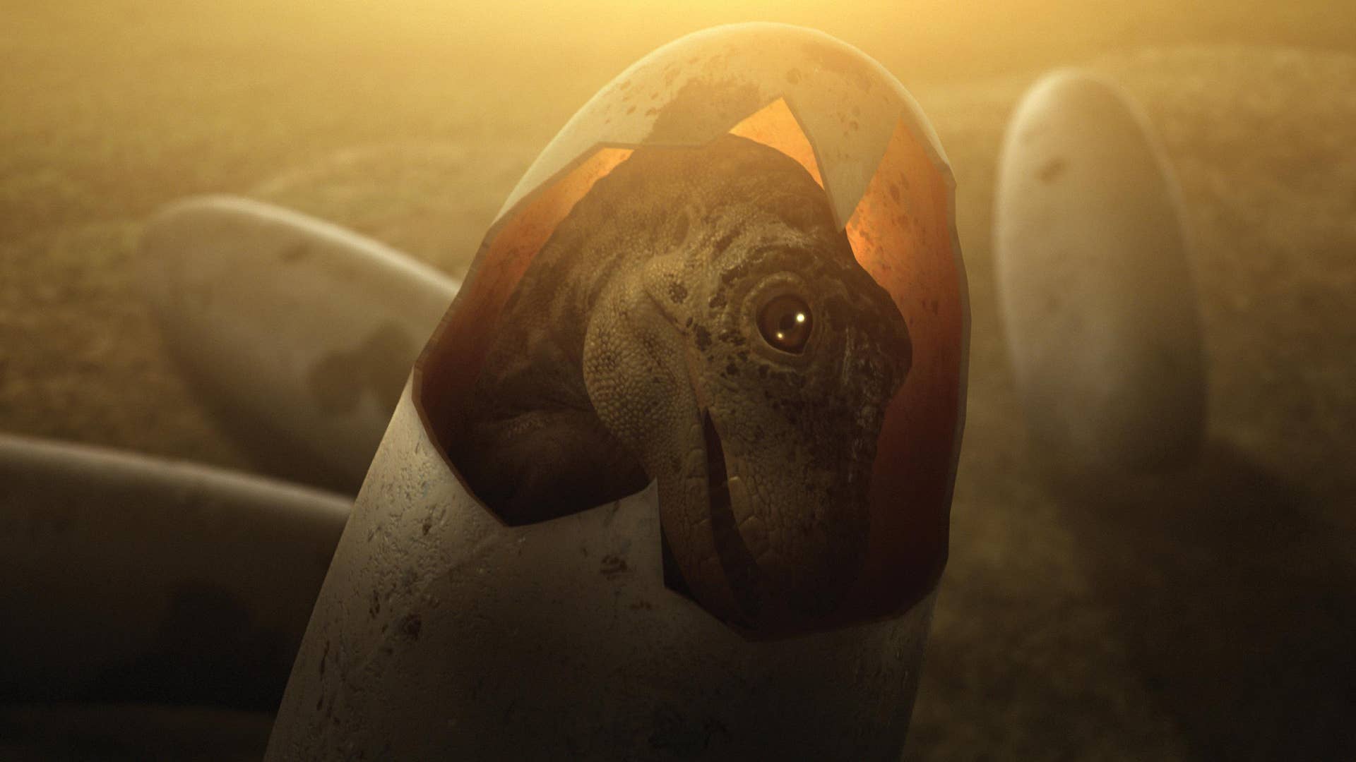 Clash of the Dinosaurs