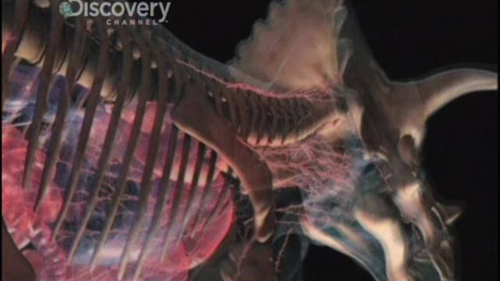 Clash of the Dinosaurs