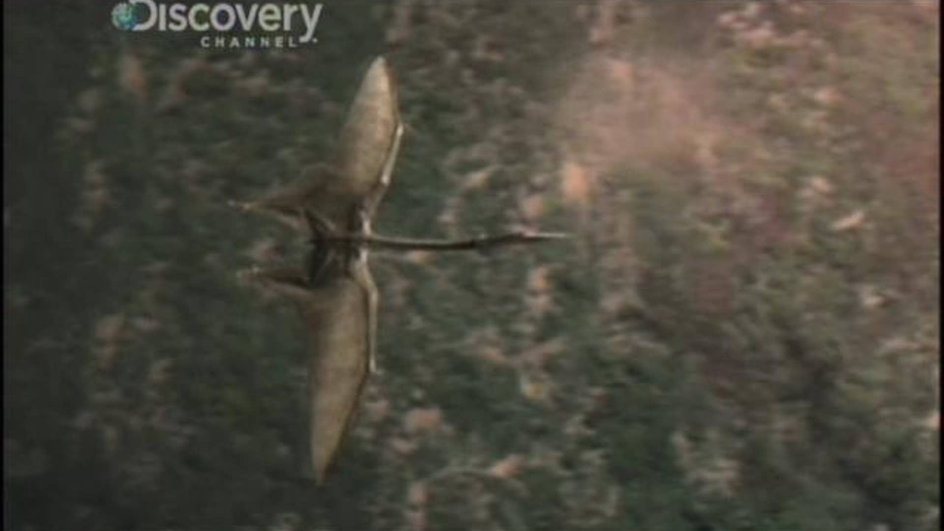 Clash of the Dinosaurs