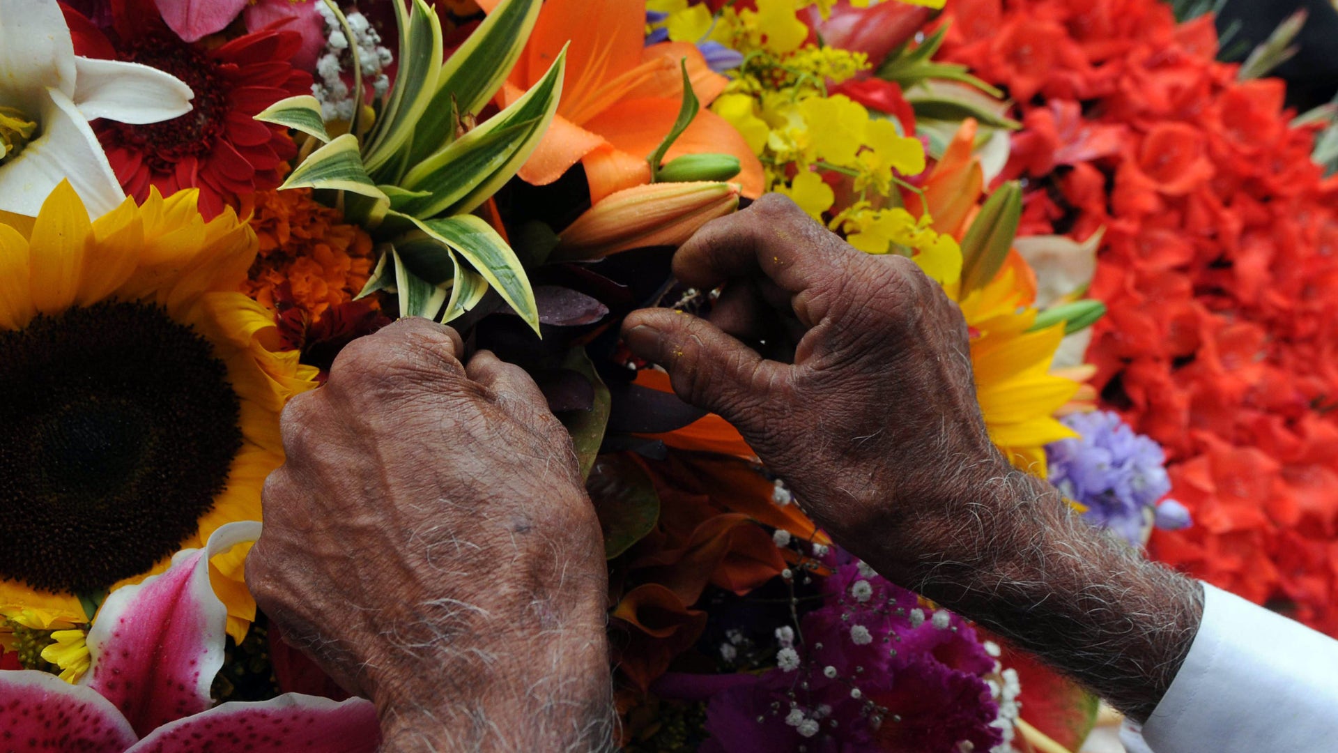 Colombia_Flower_Fair_Vros__2_
