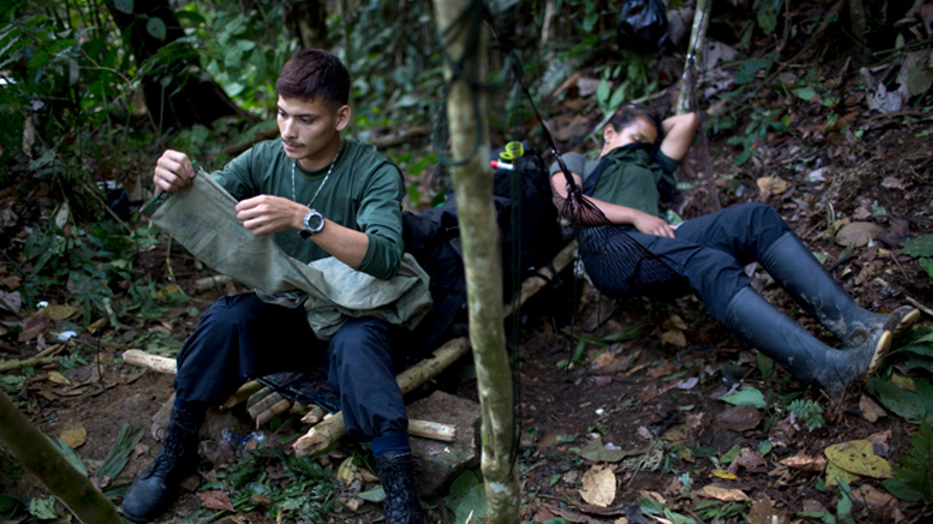 Дней выживания в джунгли. Человек в дикой природе. Эд стаффорд амазонка. Мужчина в джунглях. Беар гриллс в джунглях.
