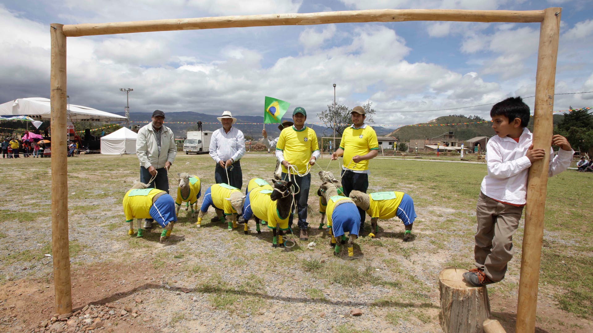 Colombia_Soccer_Sheep__8_