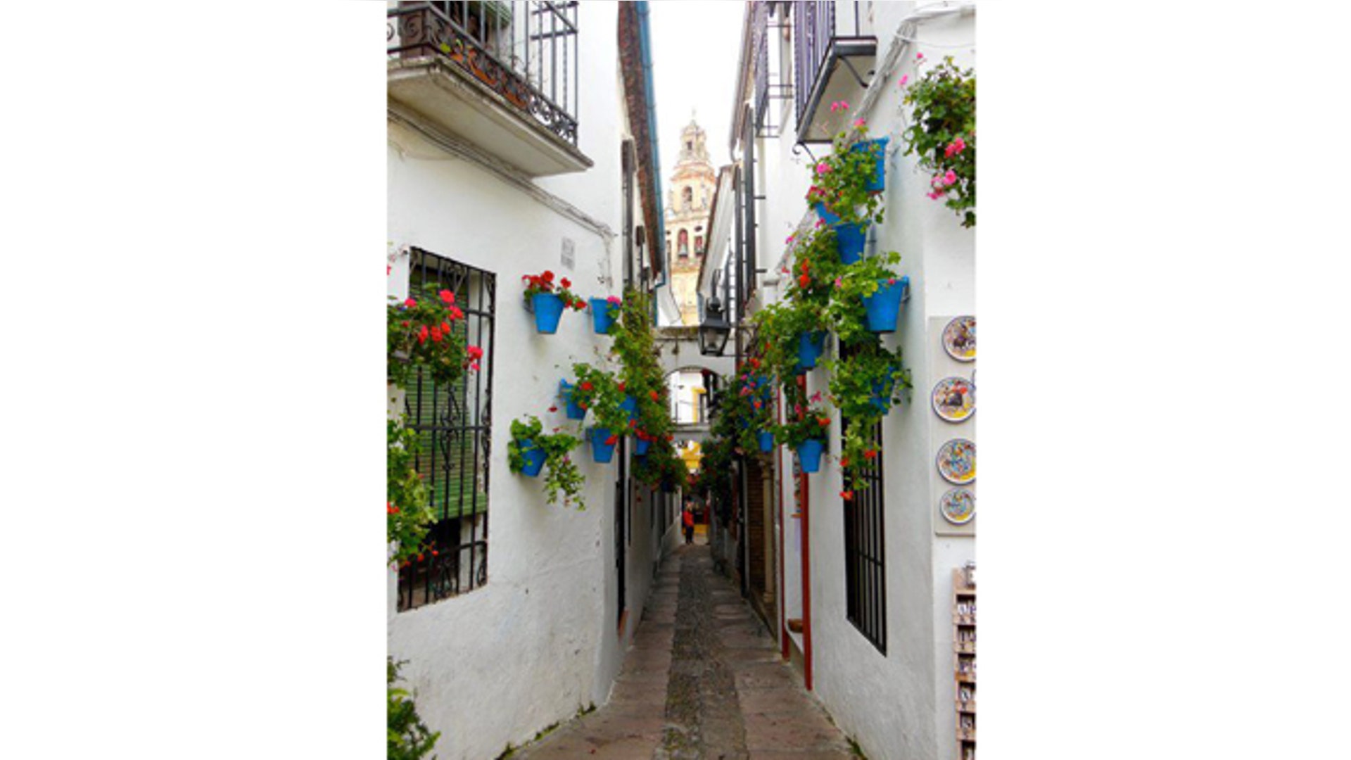 CordobaCalledelasFlores