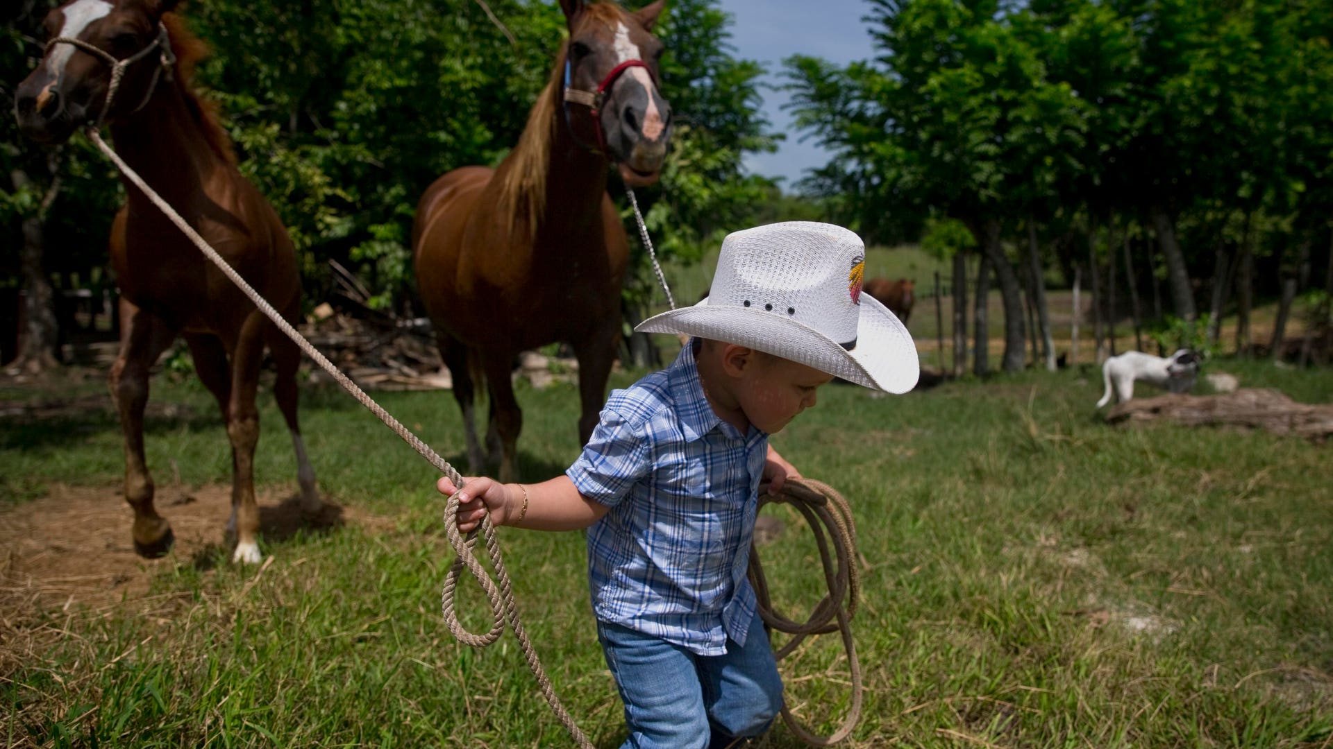 Cuba_Child_Rodeo_Phot_Vros__1_
