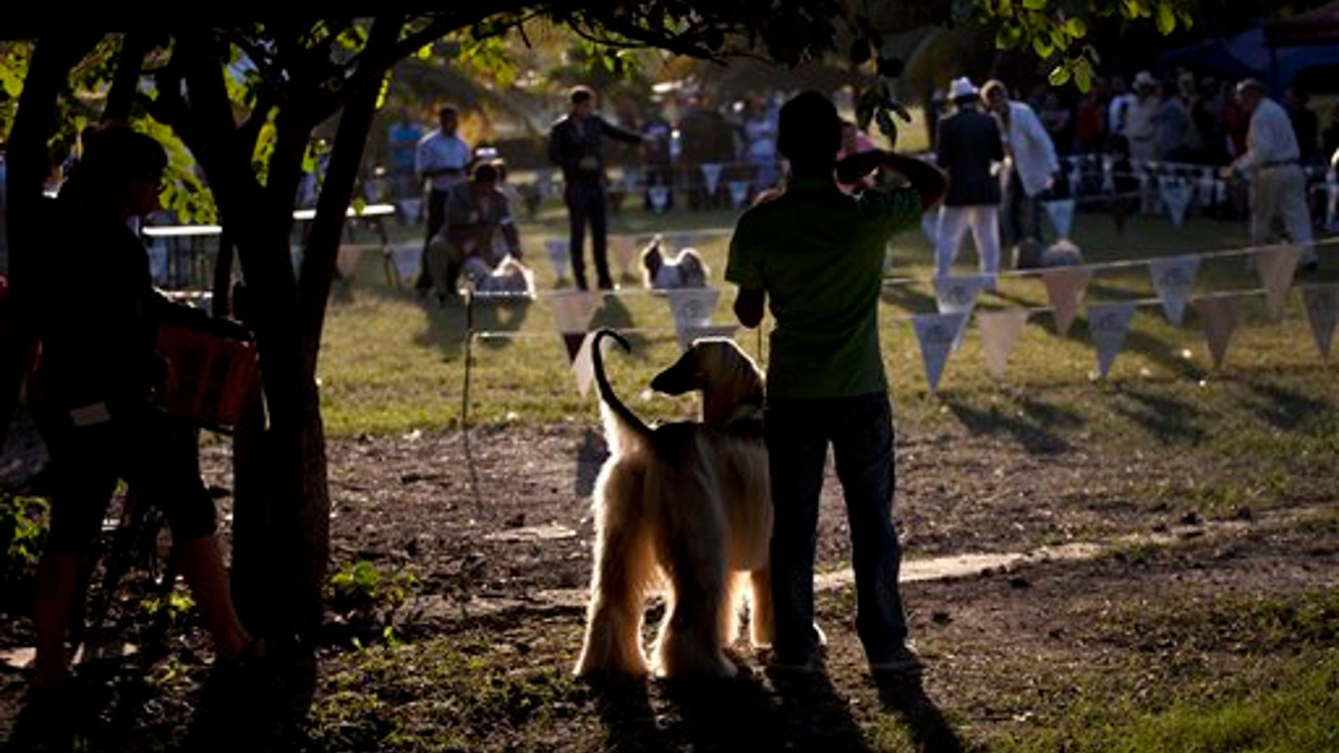 Cuba_Dog_Show_7