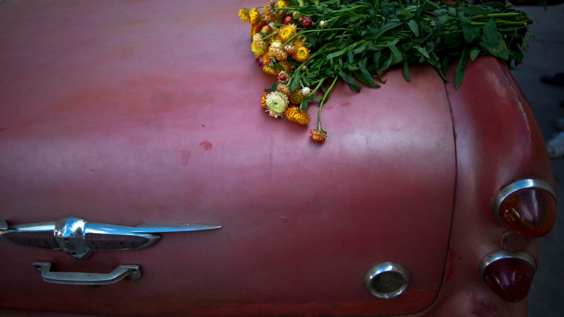Cuba_Flower_Vendor__12_