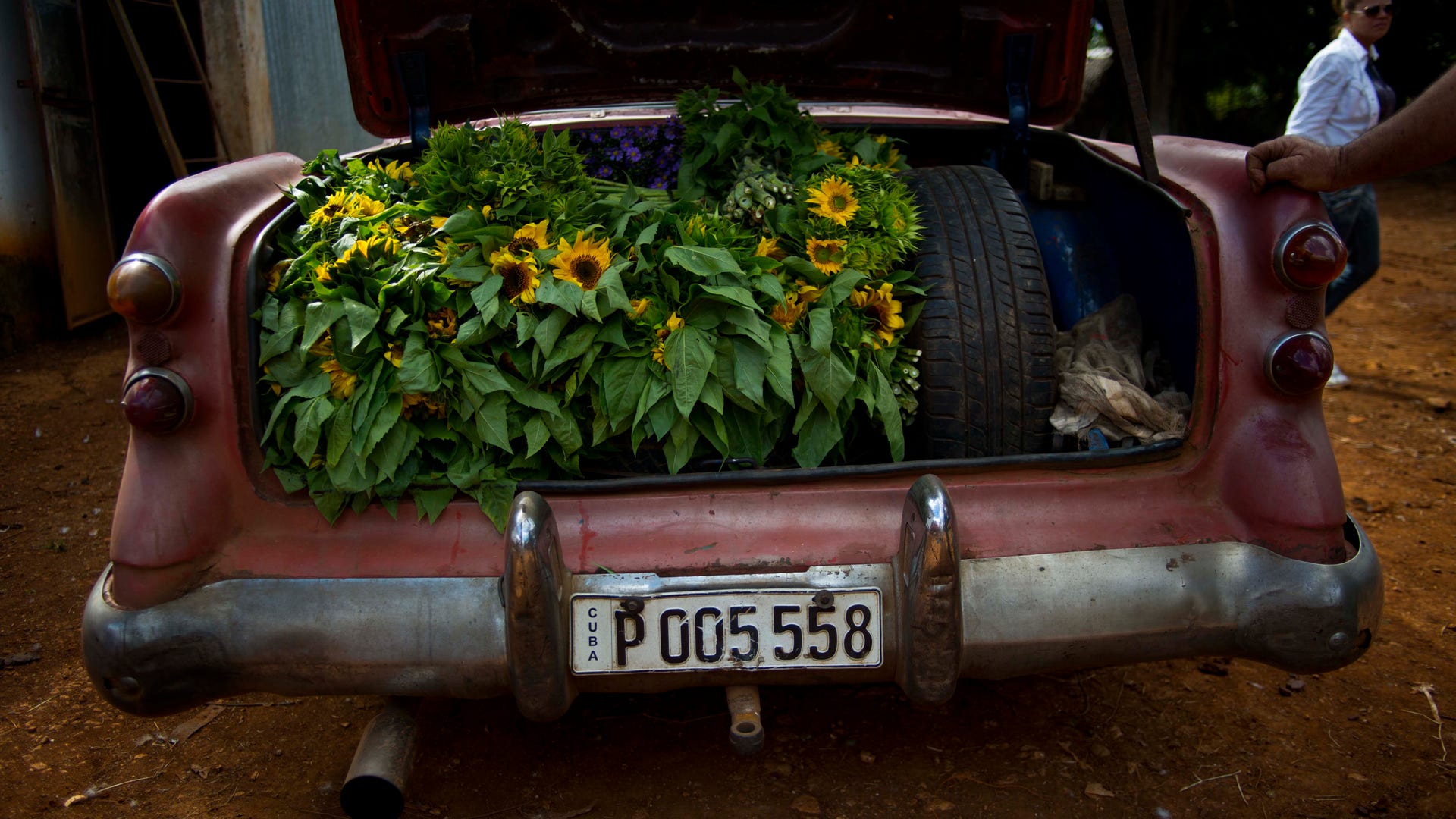 Cuba_Flower_Vendor__5_