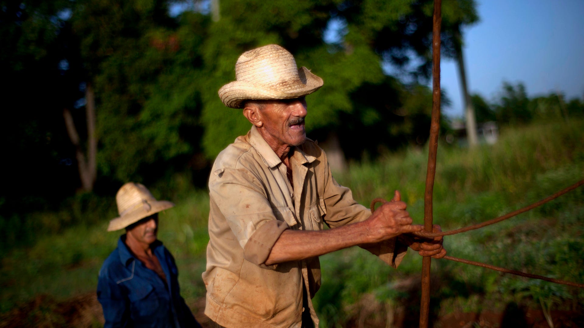 Cuba_Graying_Populati_Grat__6_
