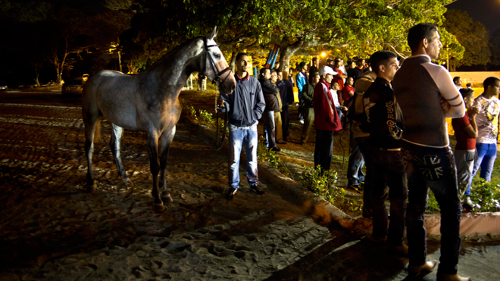 Cuba_Horse_Training__11_
