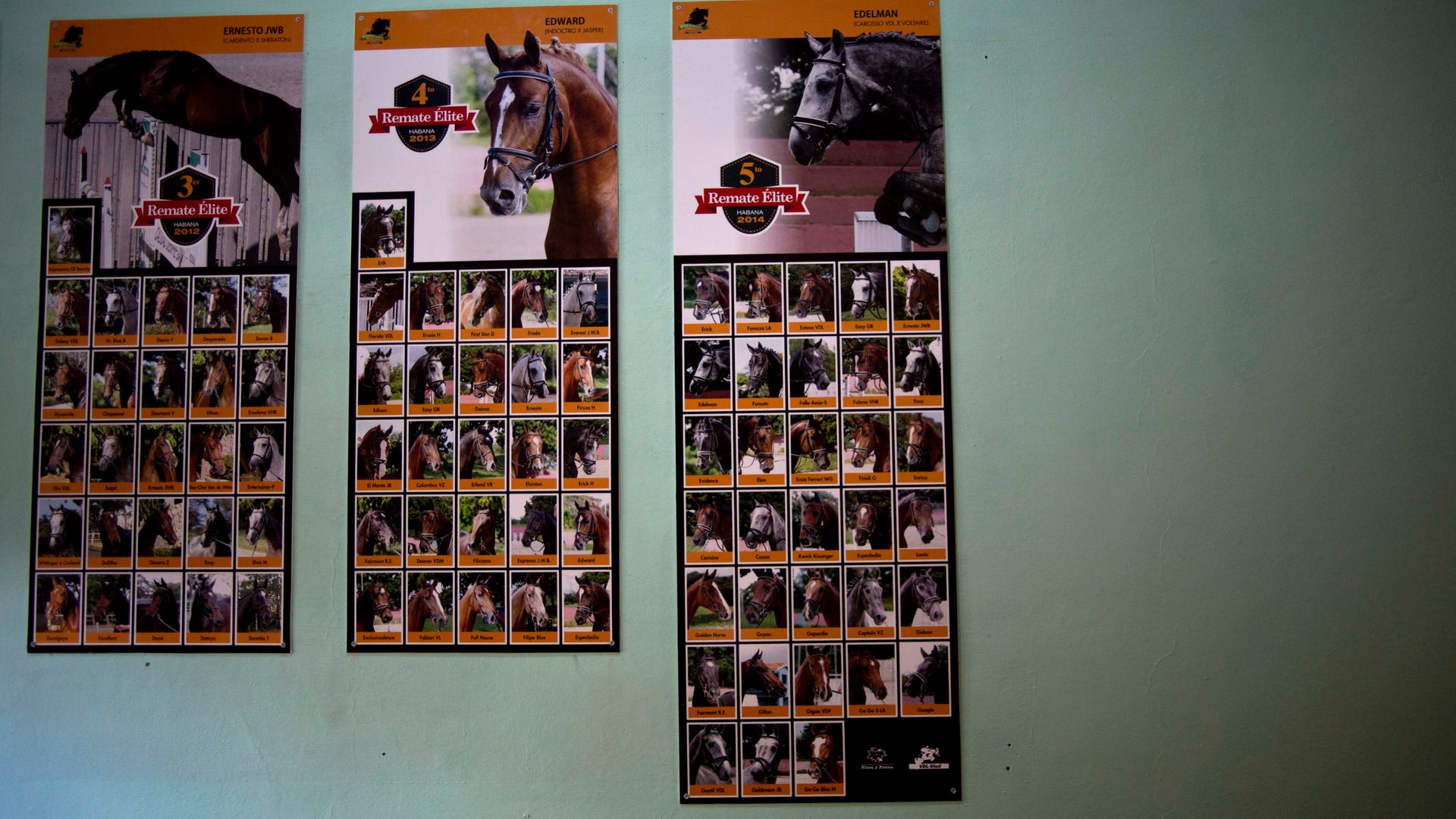 Cuba_Horse_Training__14_