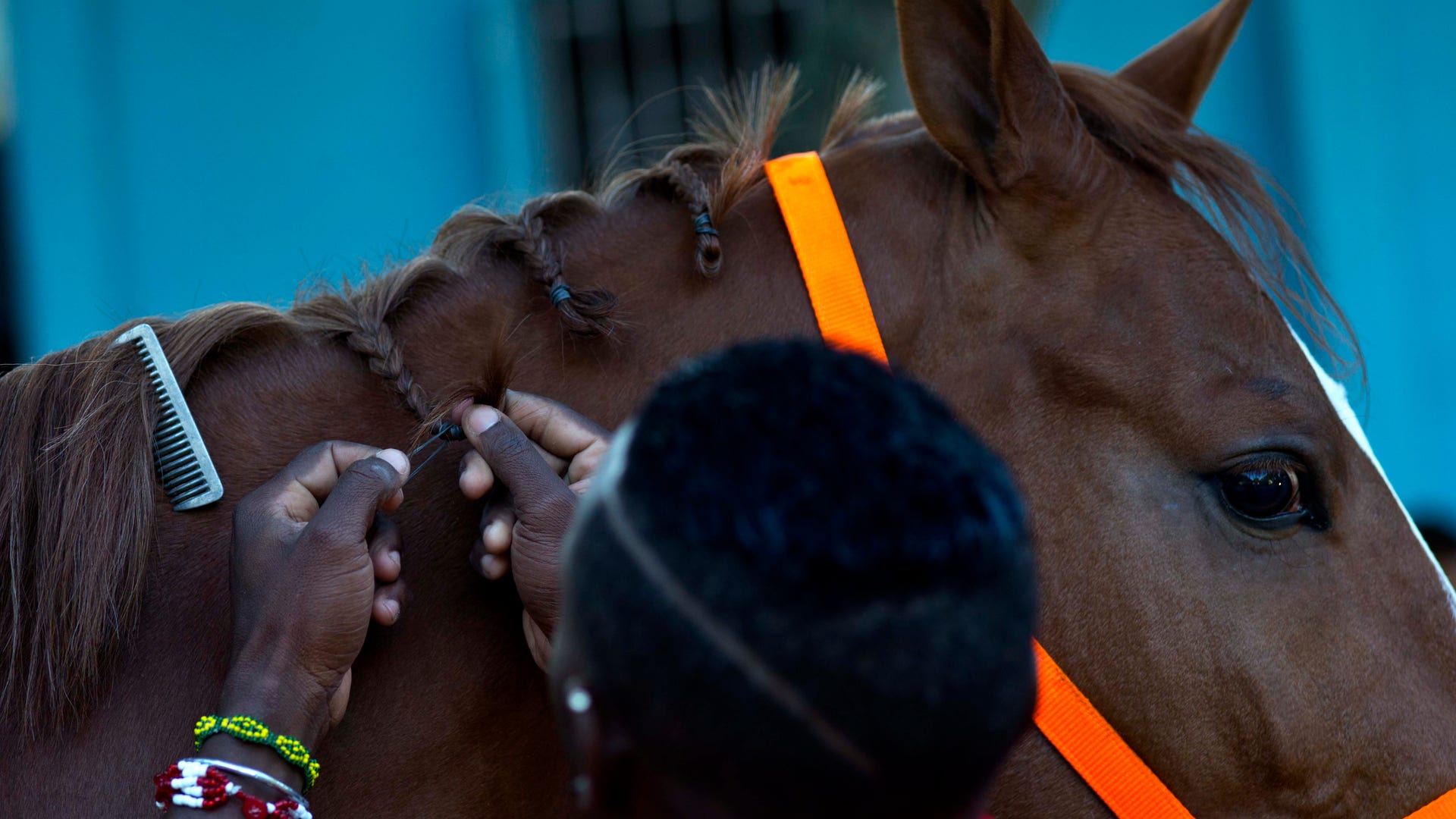 Cuba_Horse_Training__7_