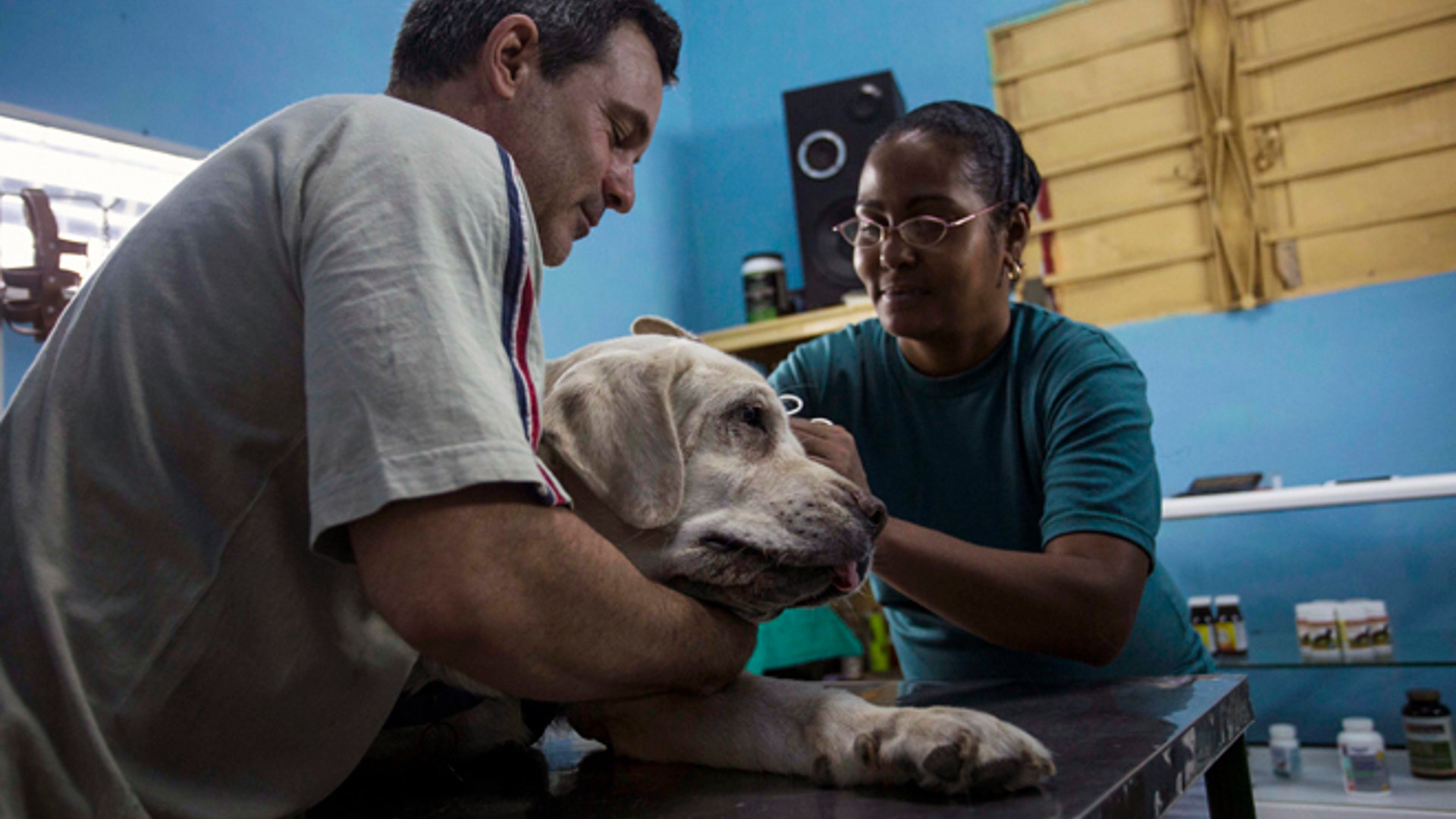 Cuba_Pampered_Dogs_Garc_2_