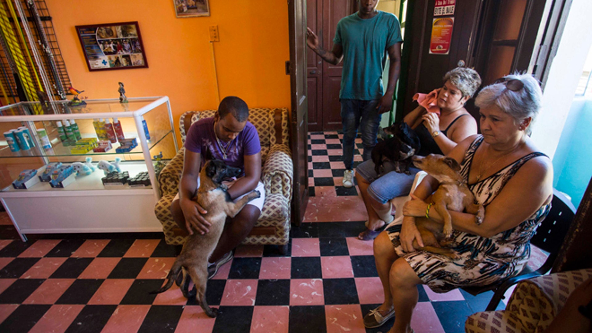 Cuba_Pampered_Dogs_Garc_3_