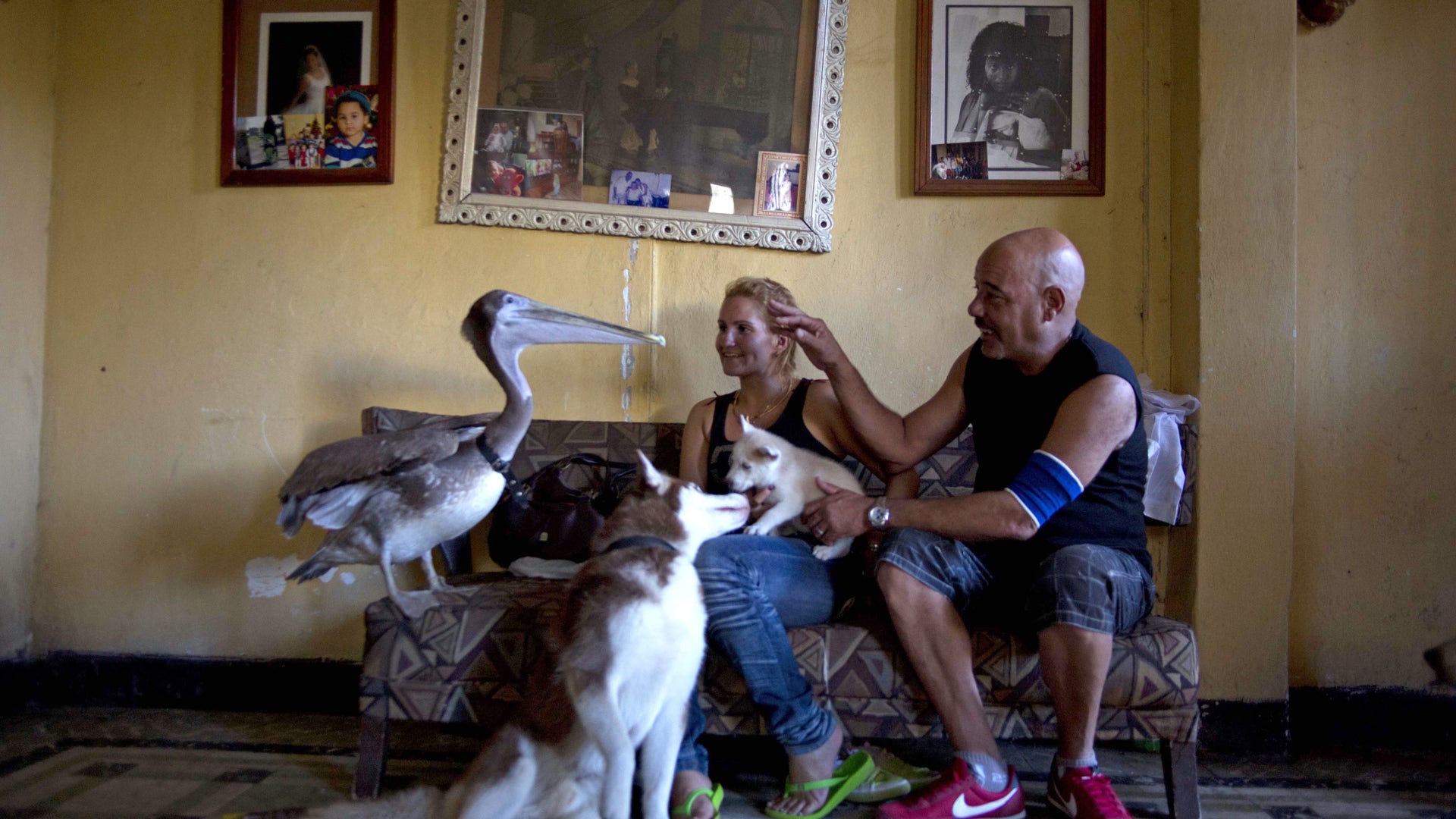 Cuba_Pancho_the_Pelic_Grat__3_