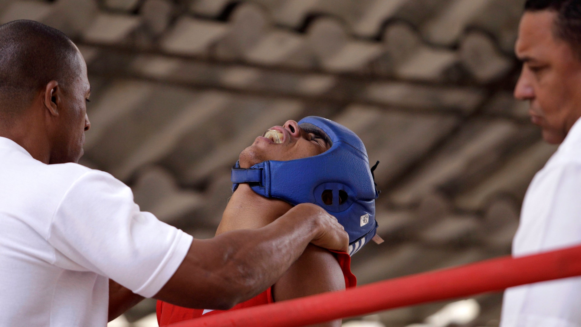 Cuba_Pro_Boxings_Retu_Plan_4