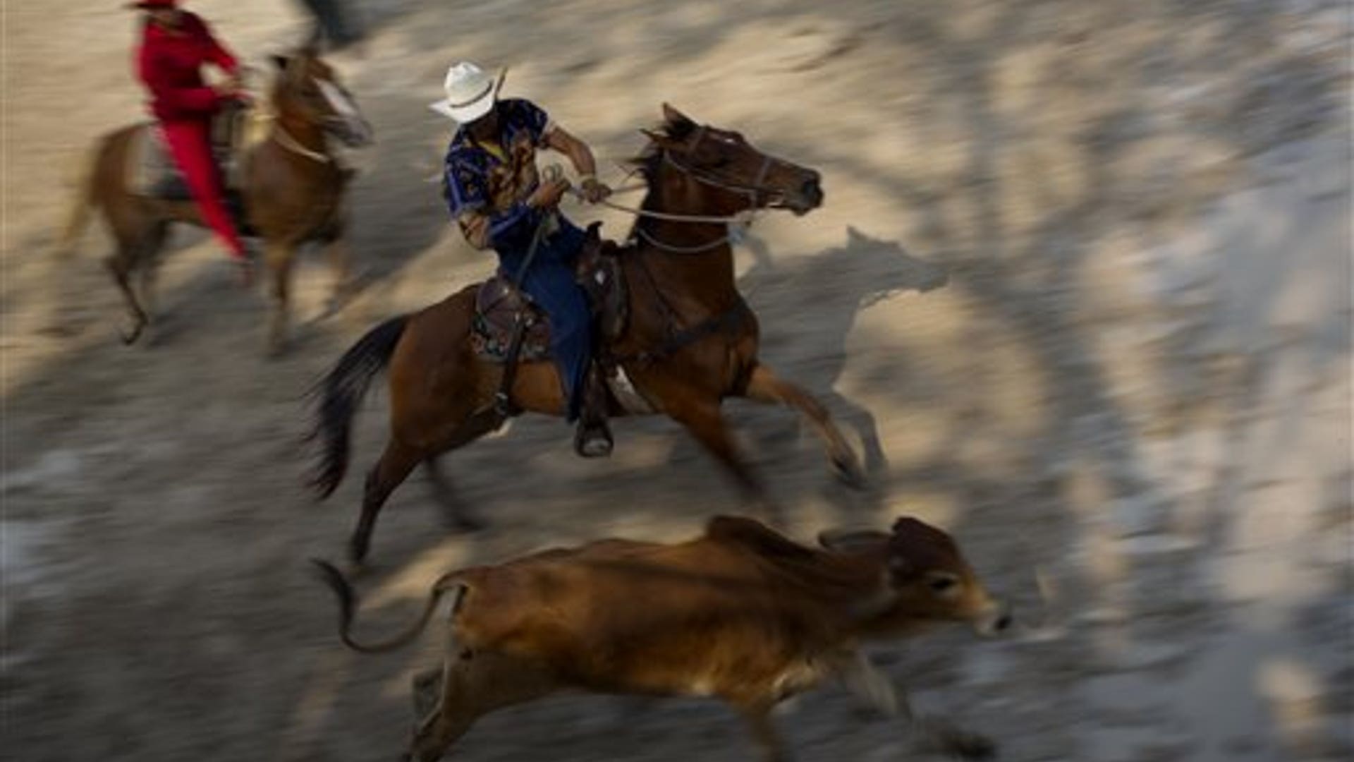 Horses Dance, Bulls Buck At Cuba's Rodeo | Fox News