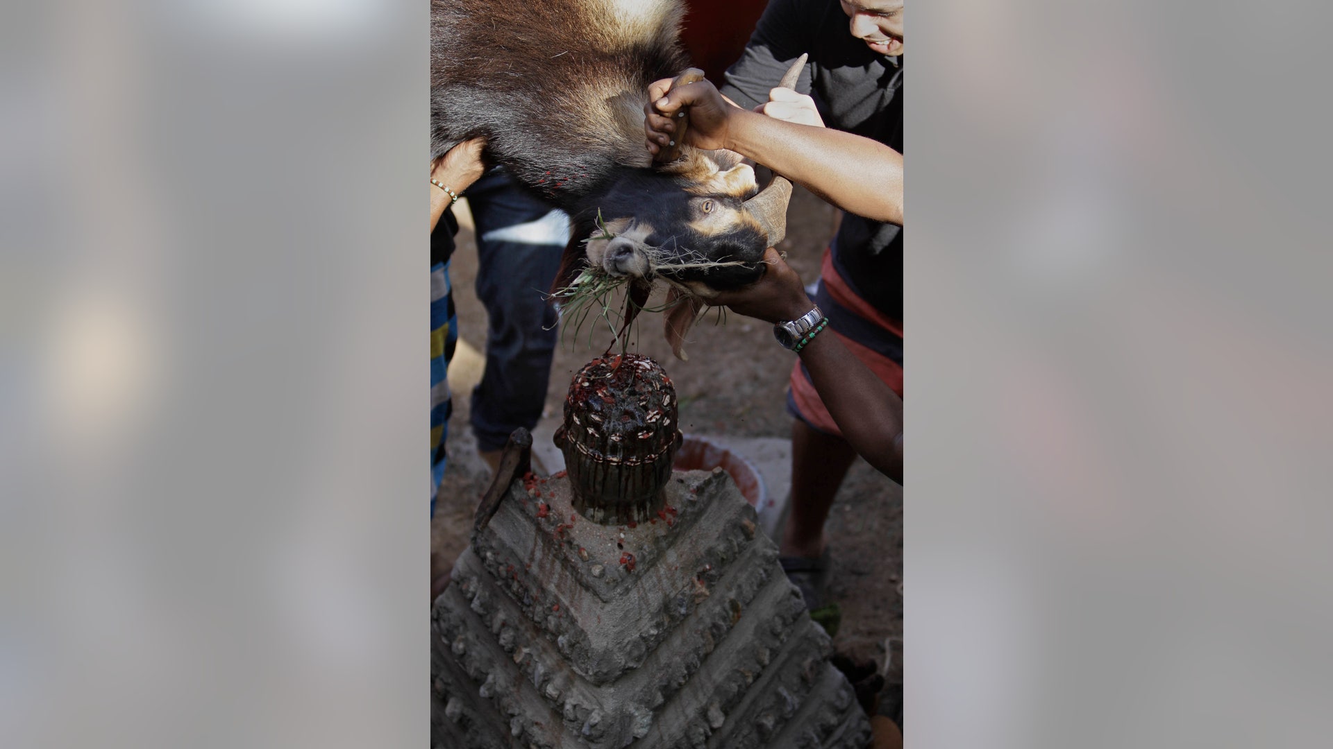 Cuba_Santeria_New_Yea_Vros__7_