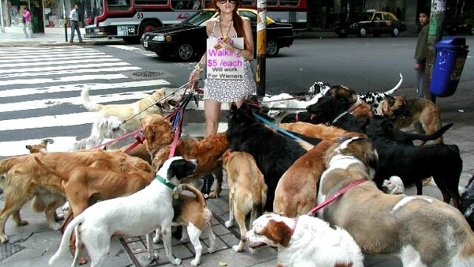 What Skills Should Lindsay Practice In Prison?