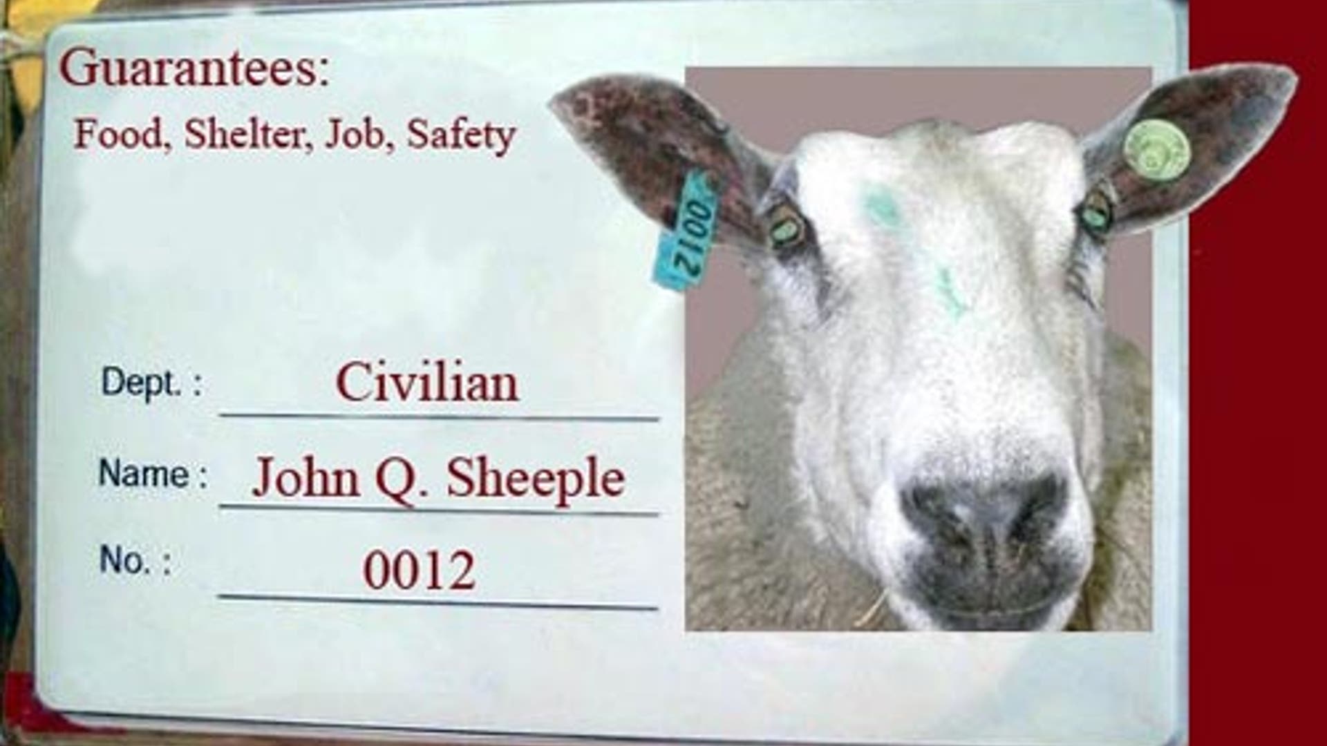 What Should a National ID Look Like?