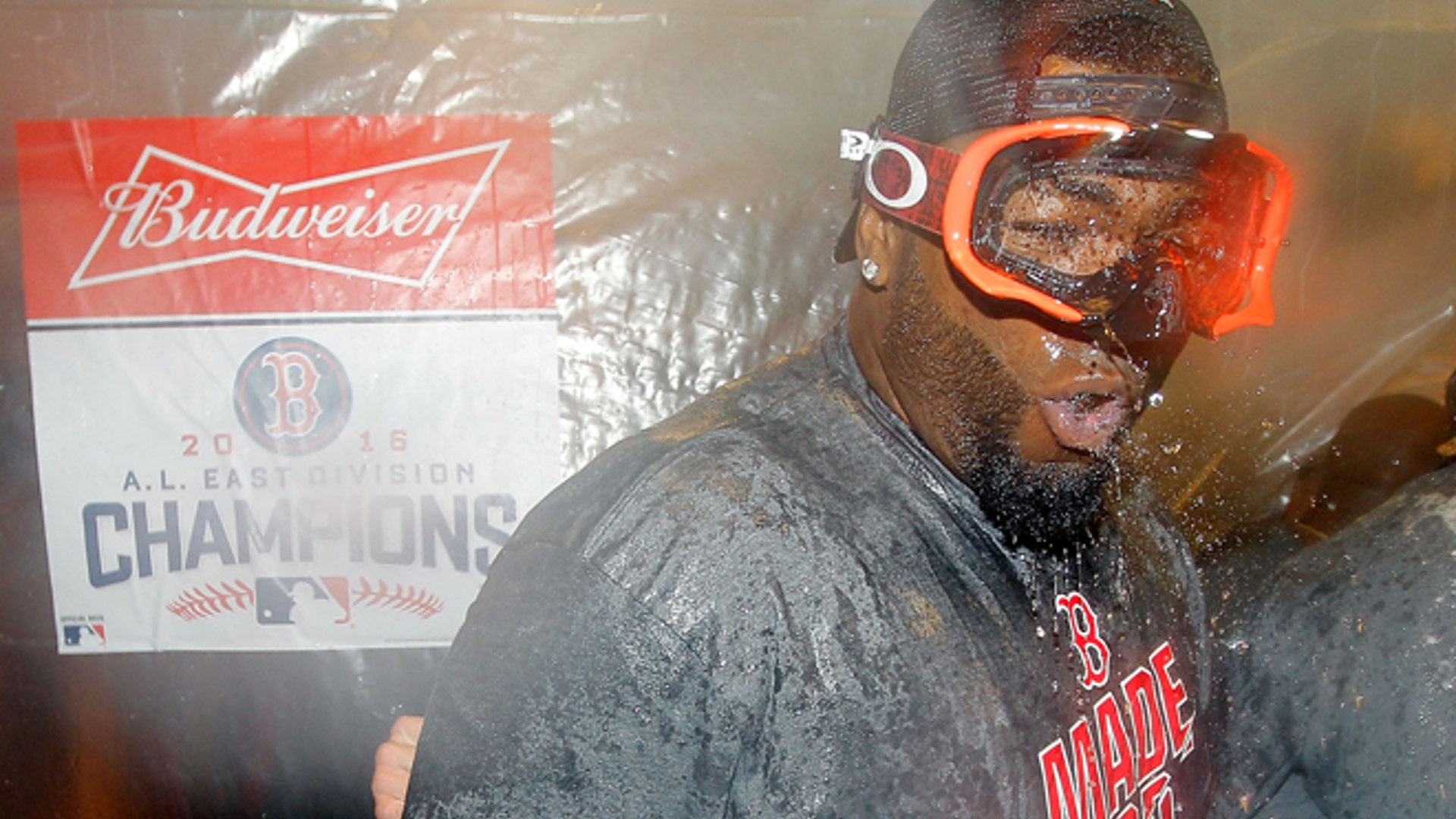 David_Ortiz_appreciation_2