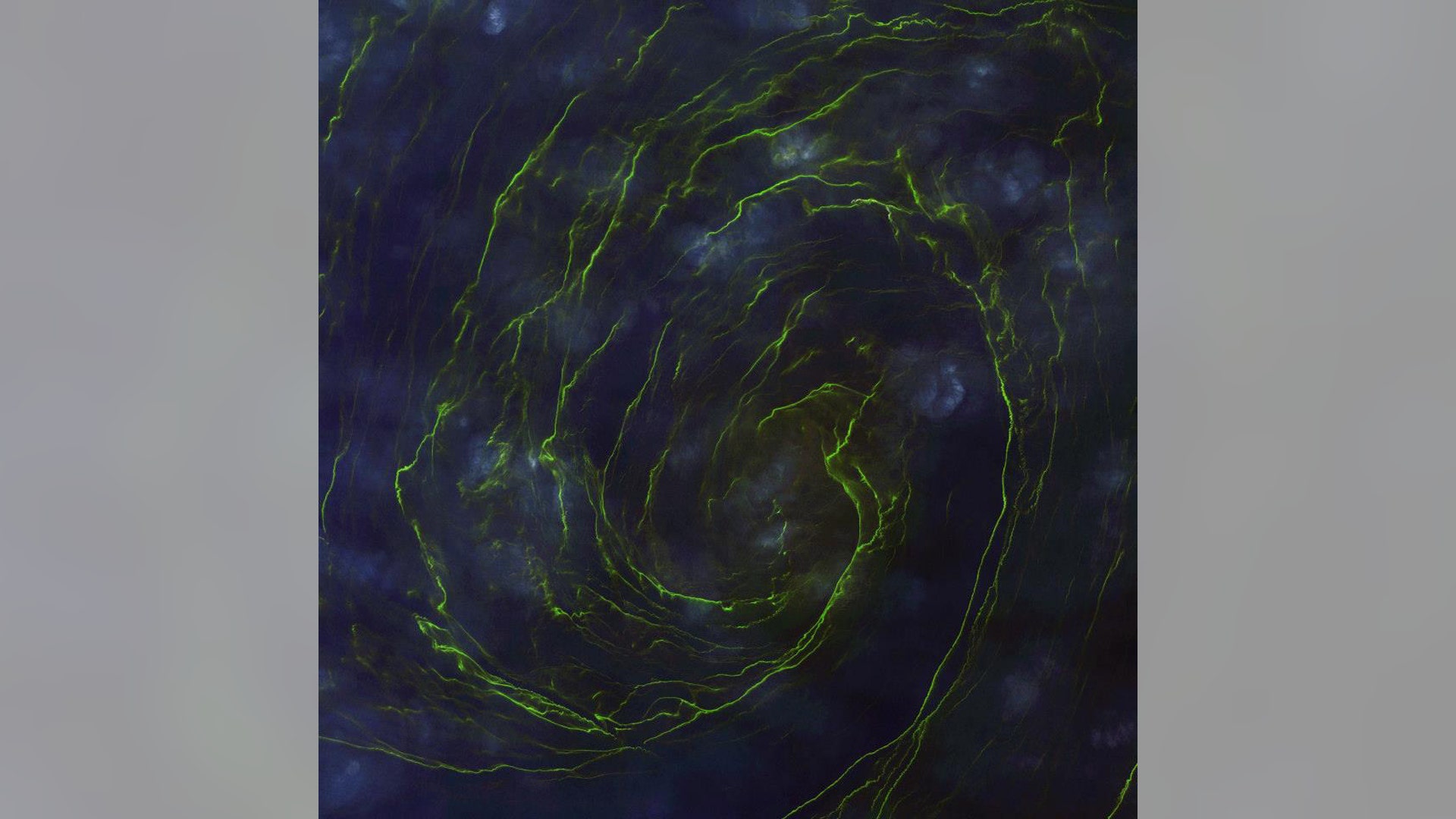 DigitalGlobe_2013_6a