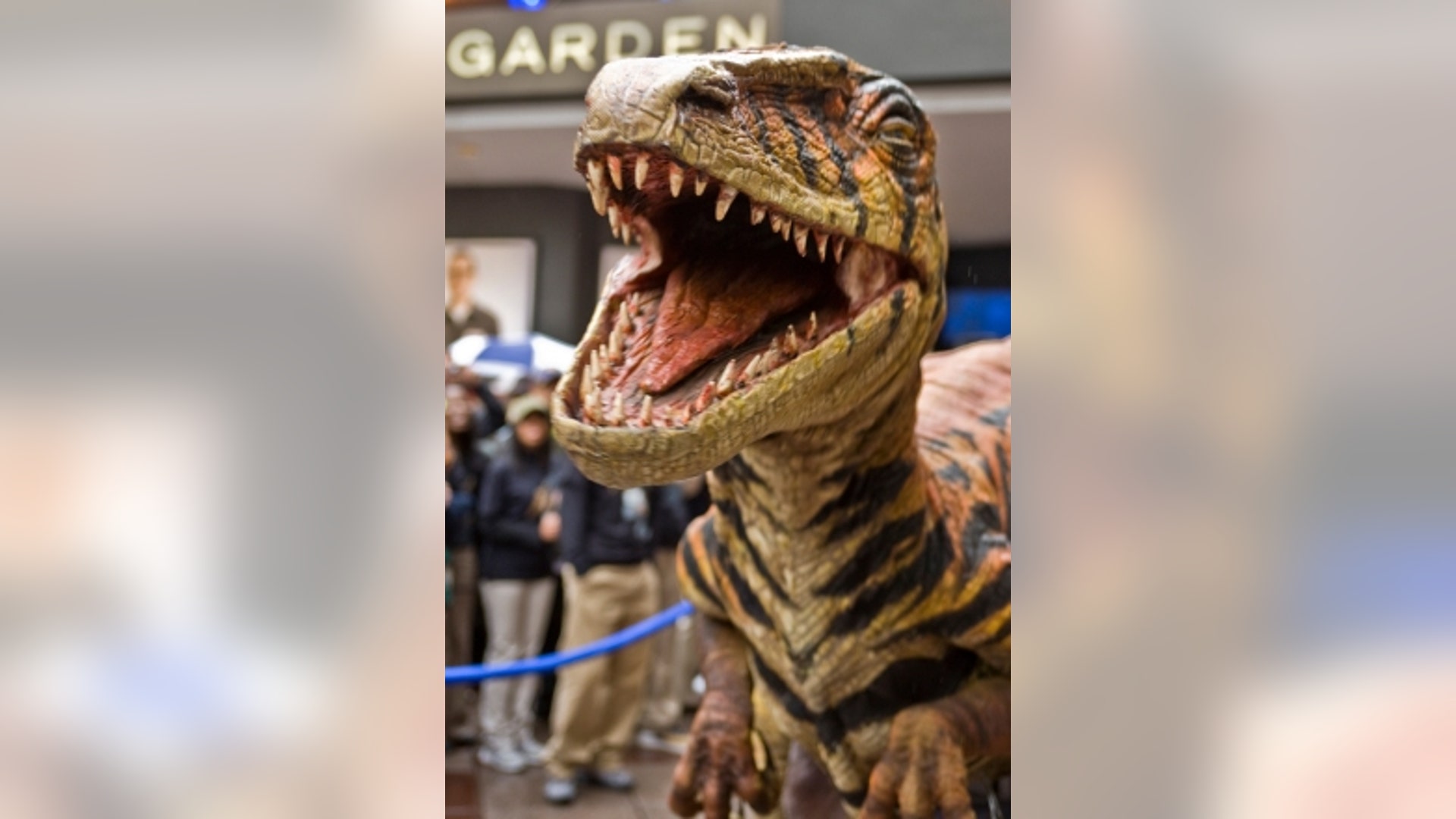 Roar at MSG