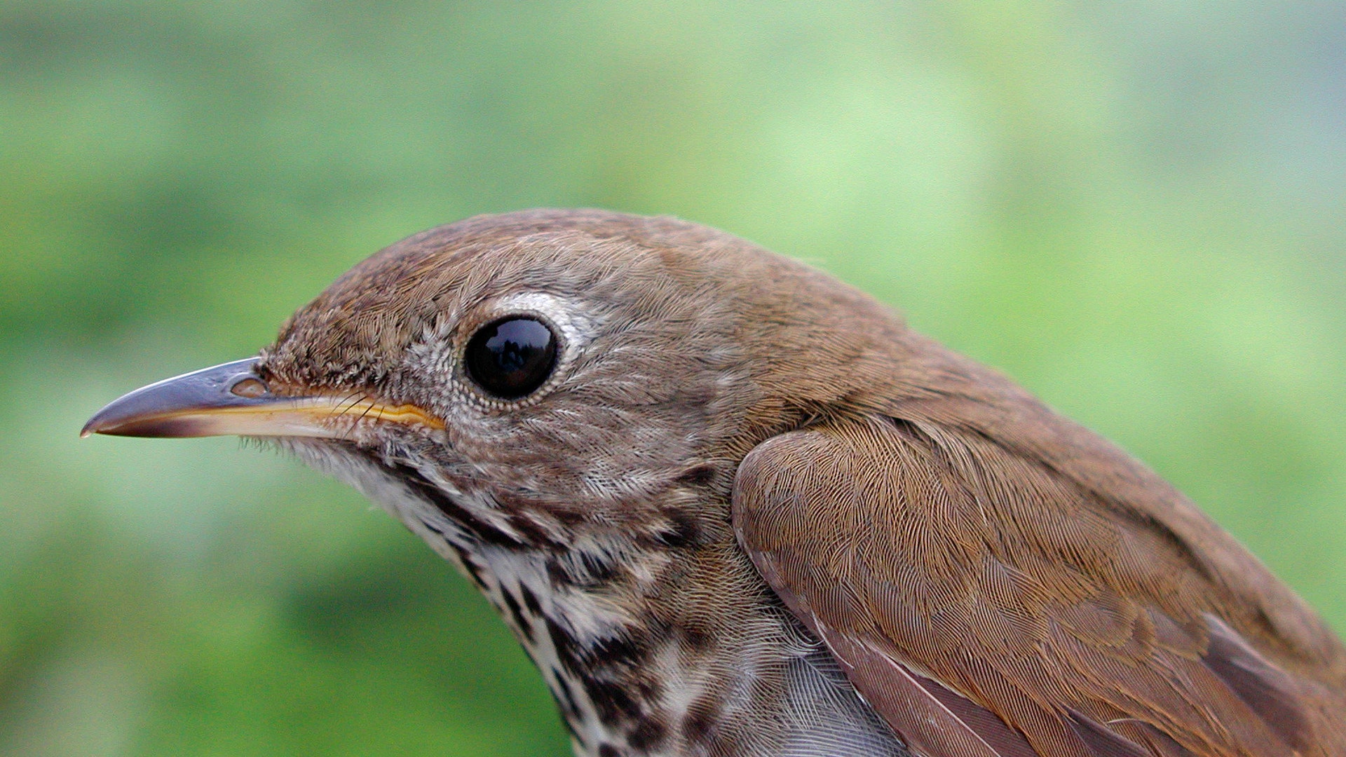 Dominican_Republic_Conservation_2