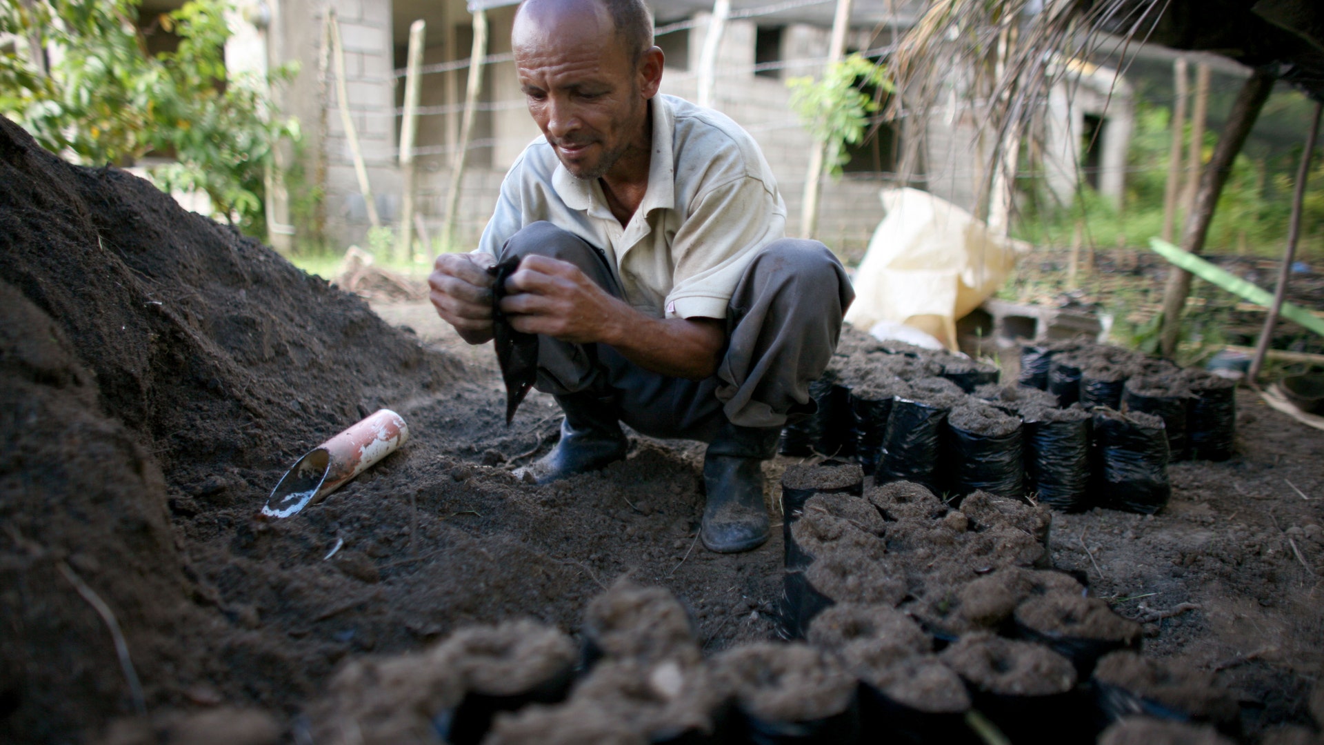Dominican_Republic_conservation_3