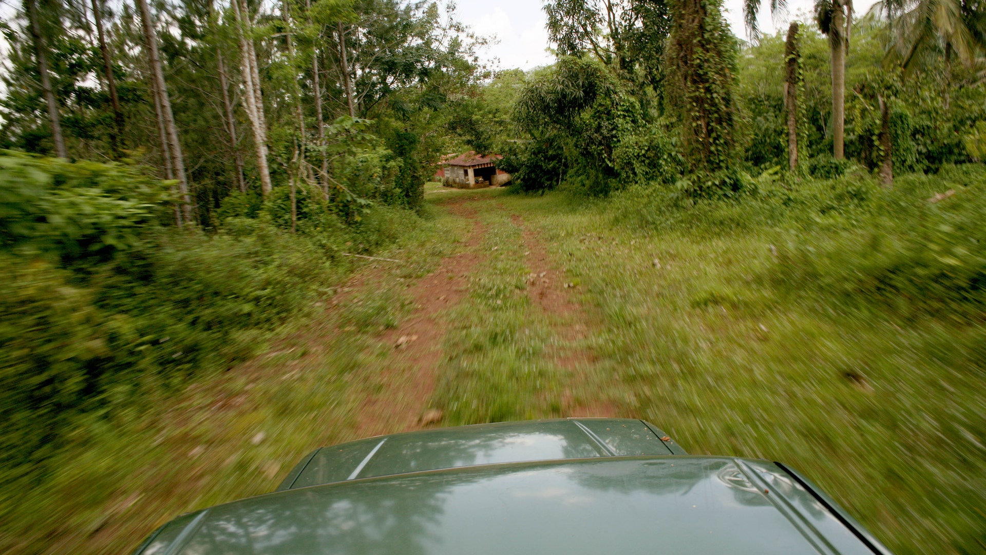 Dominican_Republic_conservation_6