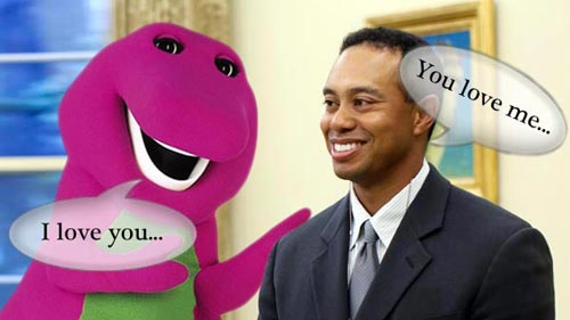 Tiger's Apology 