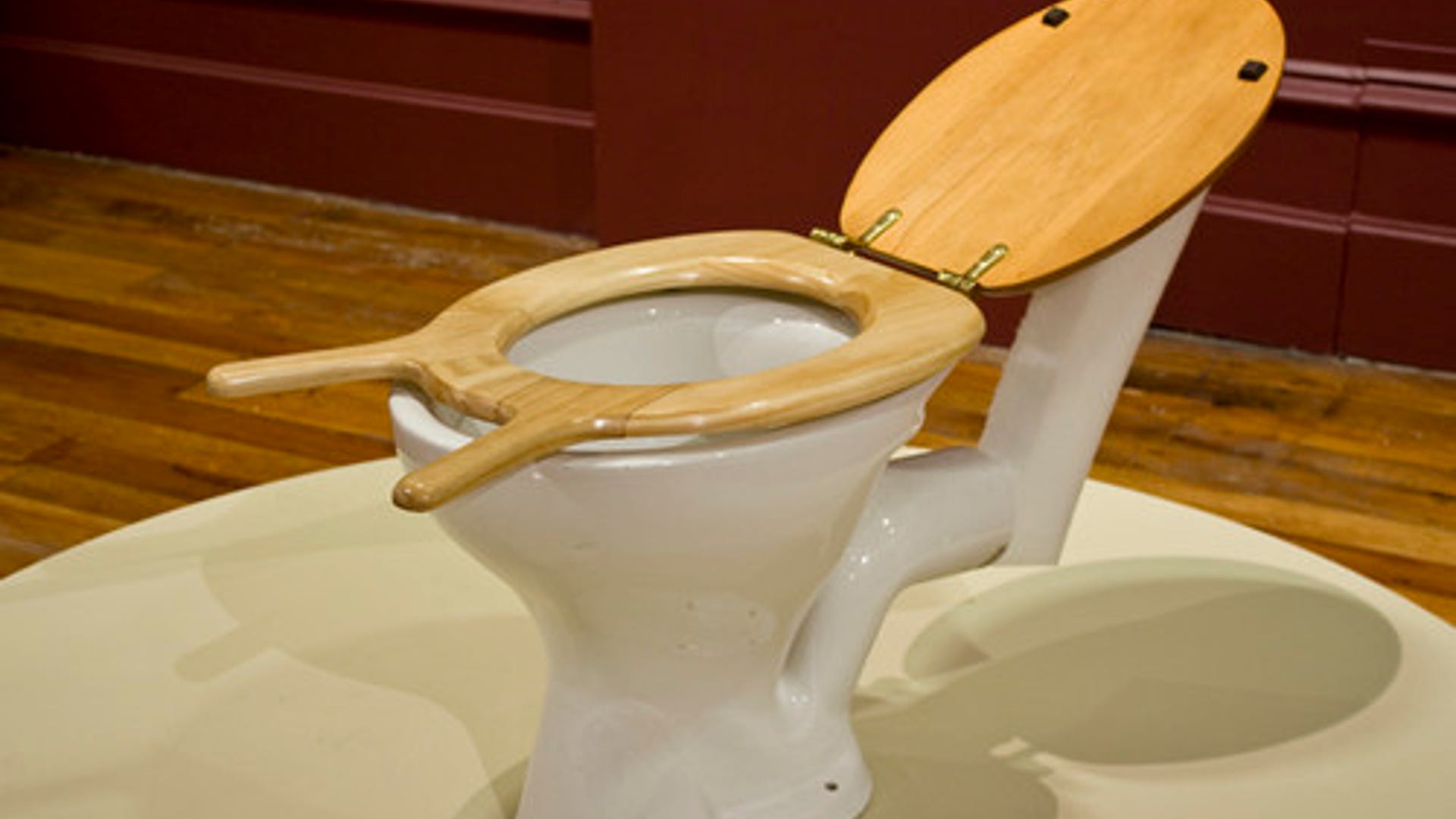 Double-Handled Toilet Seat