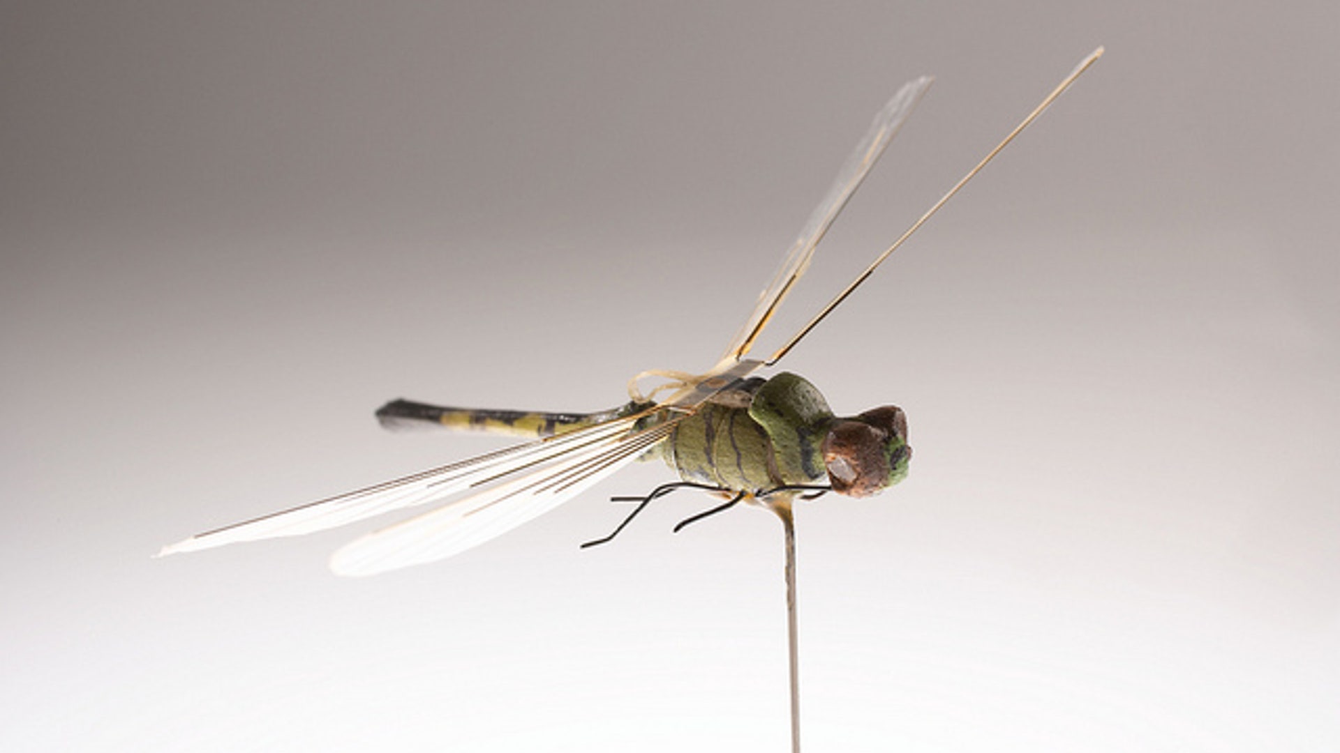 Dragonfly_Insectothopter