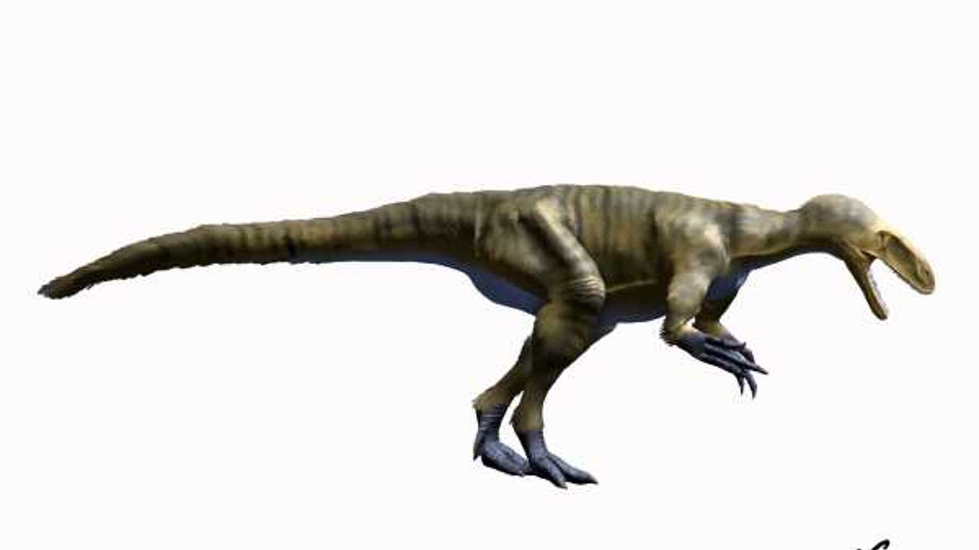Dryptosaurus_NT