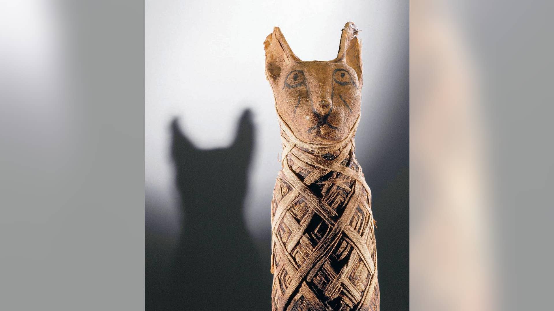 Egyptian_Cat_Mummy_Credit_The_Deutsches_Museum__Munich