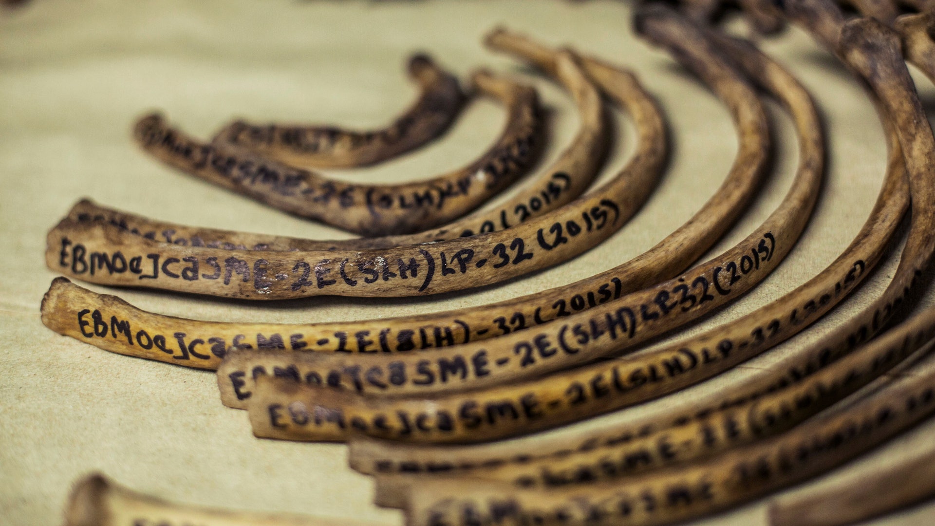 El_Salvador_violence__14_