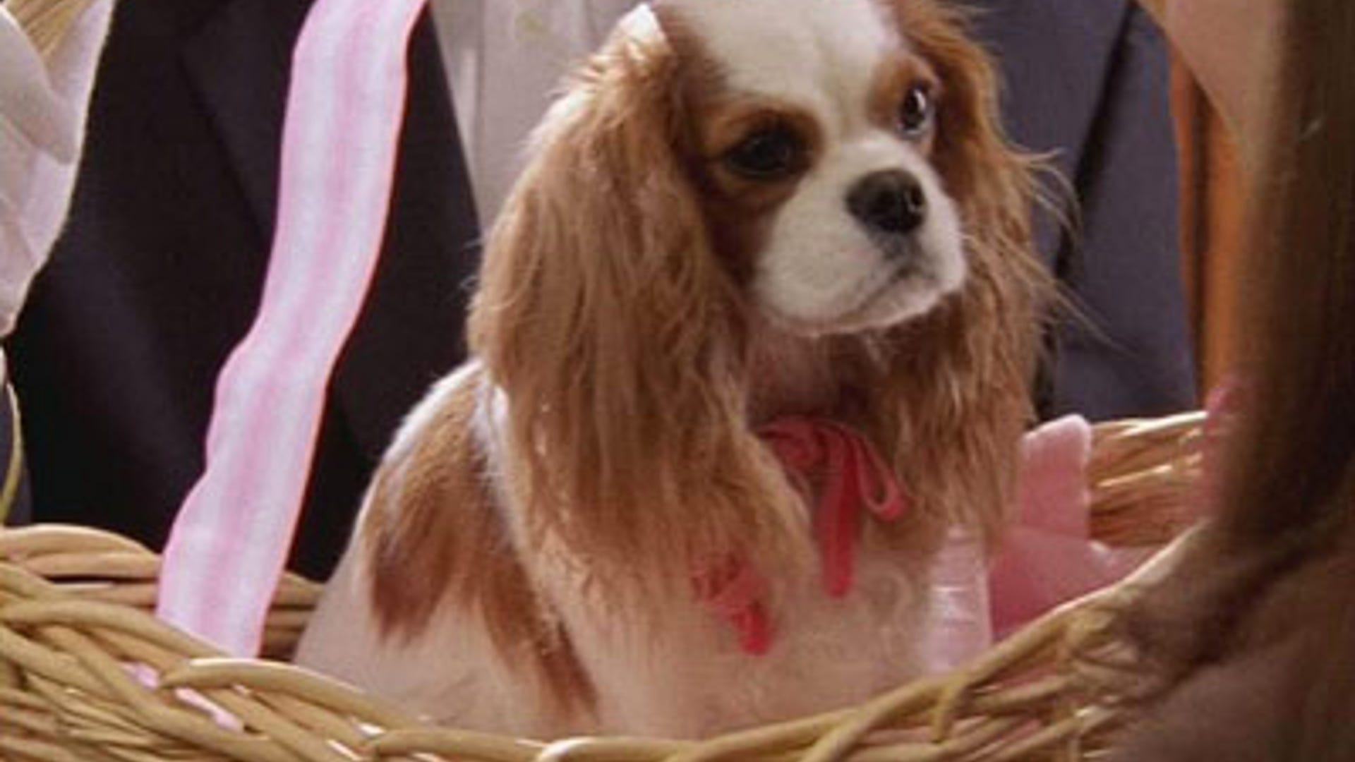 Elizabeth_sex_and_the_city