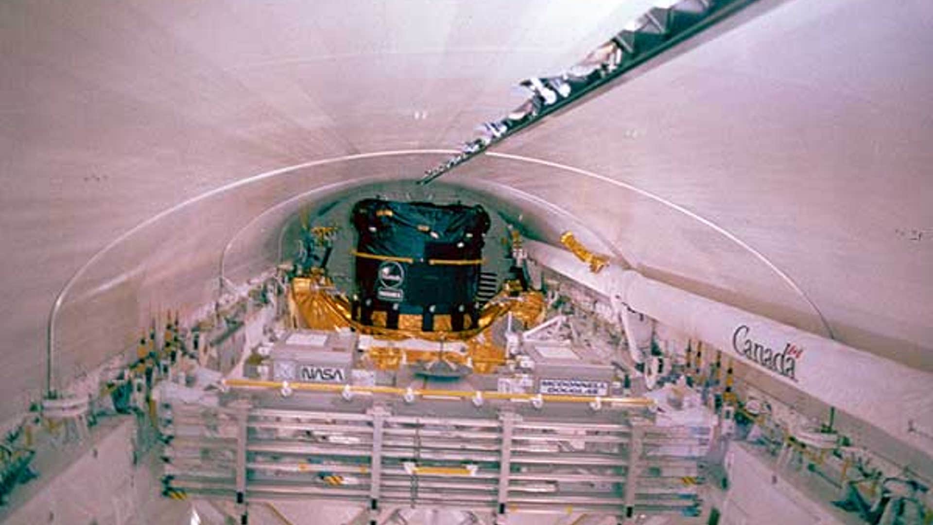 Endeavour's Cargo Bay