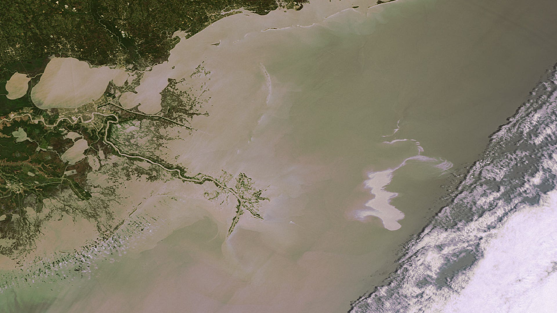 Envistat_Monitors_Spill