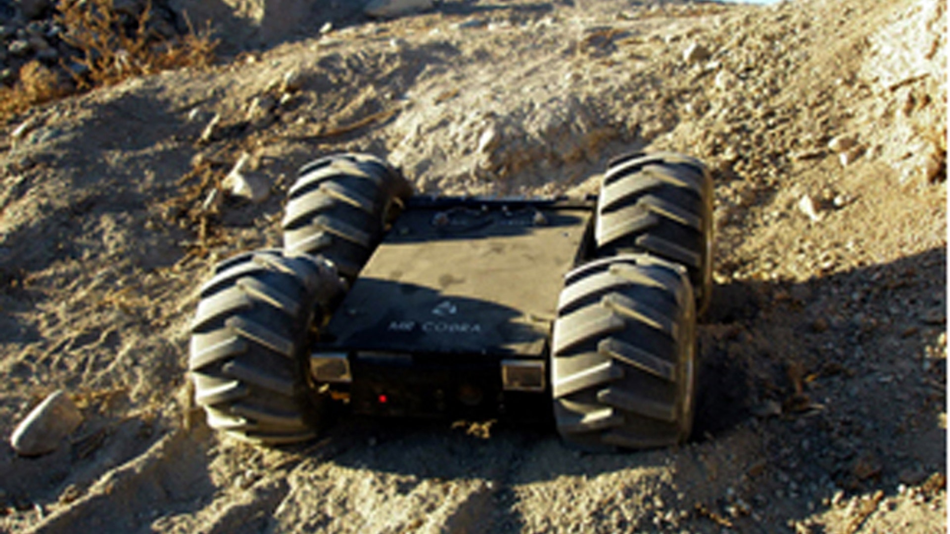 Eurosatory_2012_minirogen