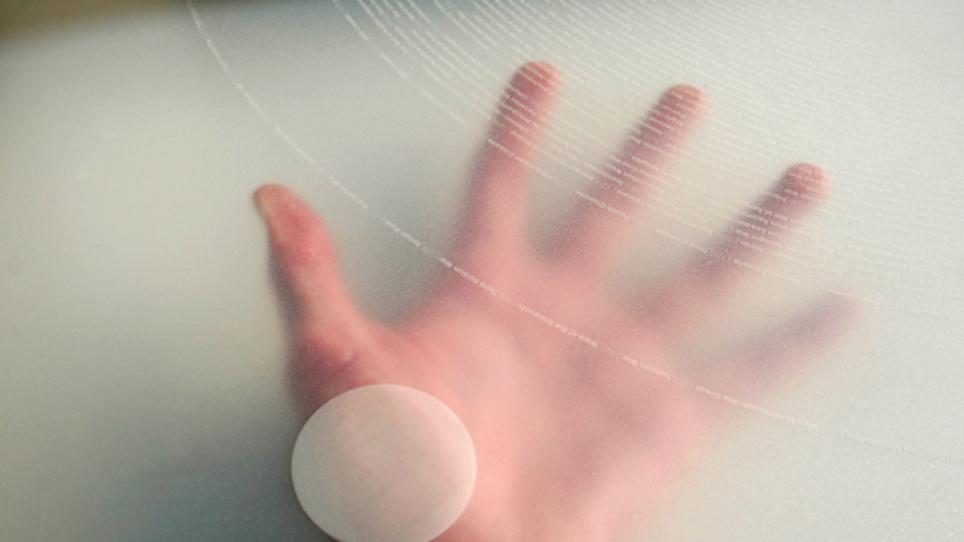 Everyone Ever in the World