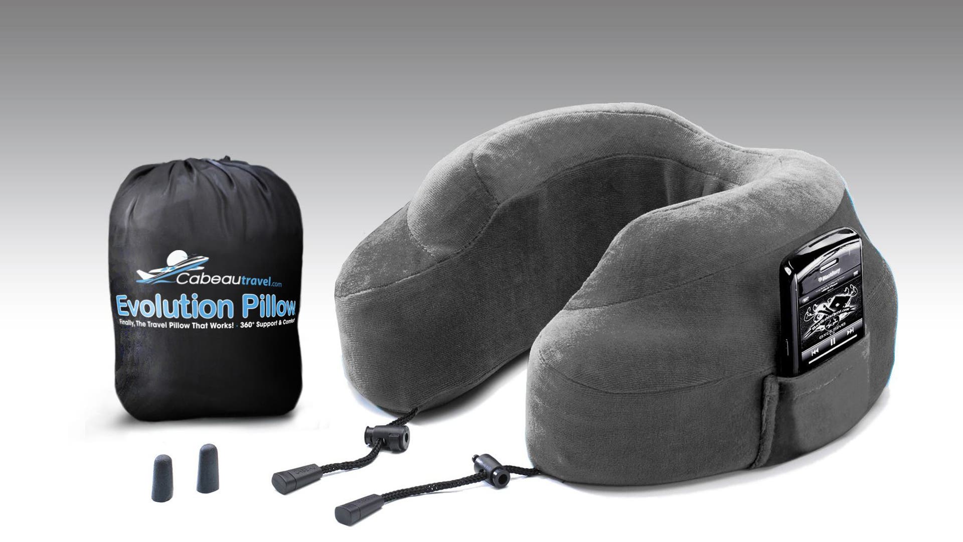 EvolutionPillowEdited