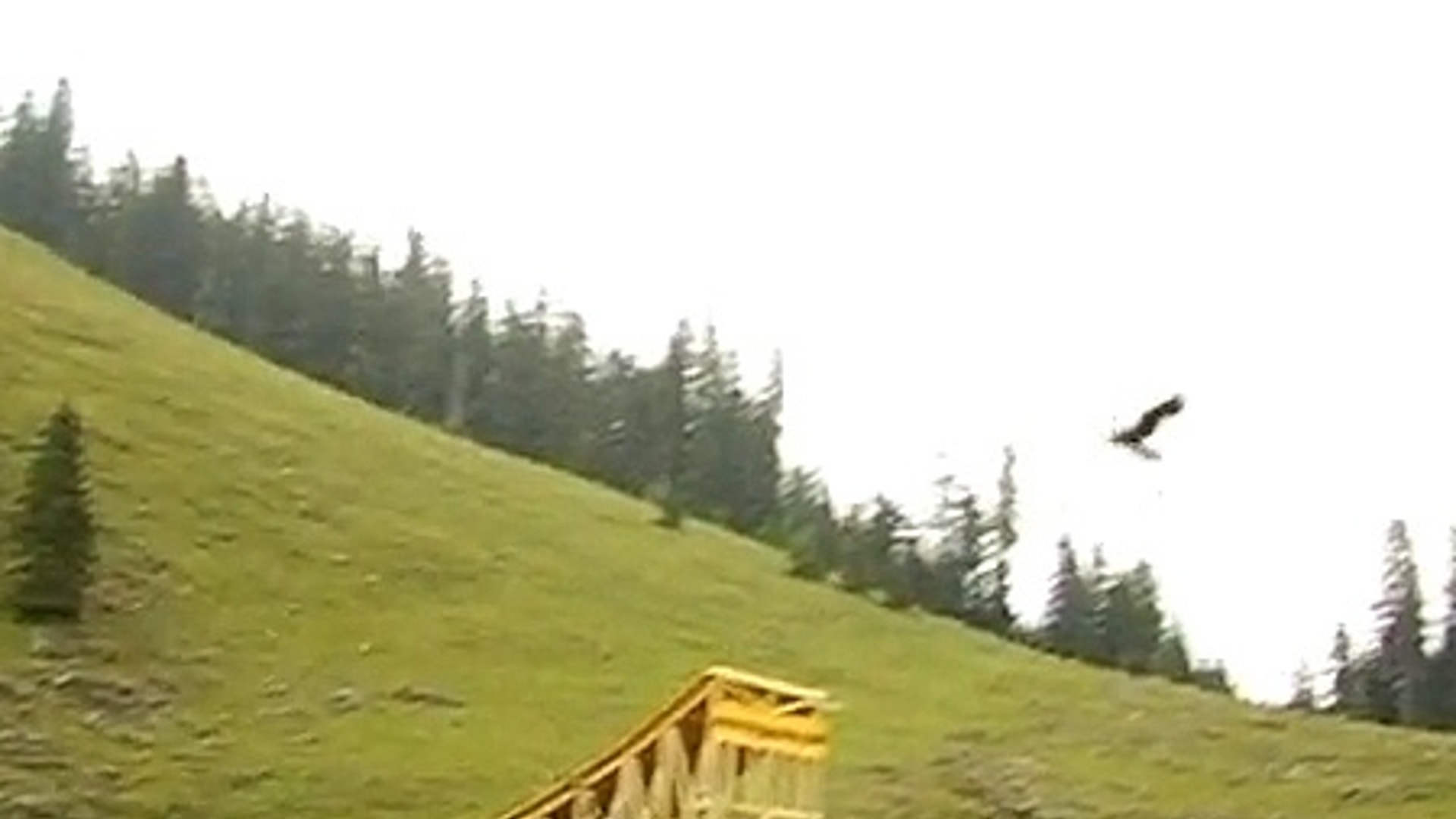 Fake Viral Videographer