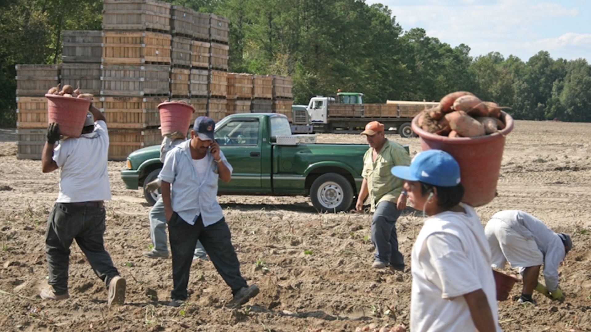 Farmworker_cell_phone_2