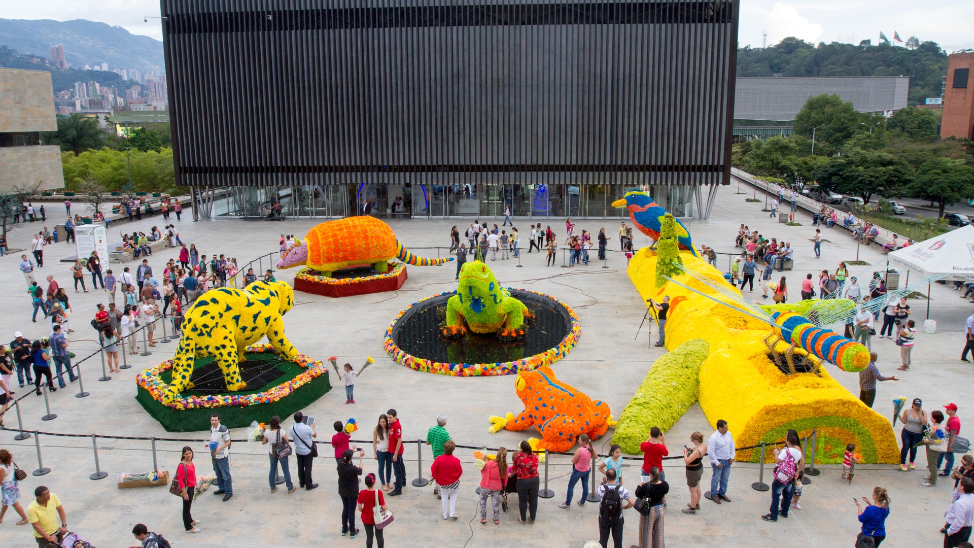 Feria_de_las_flores_5