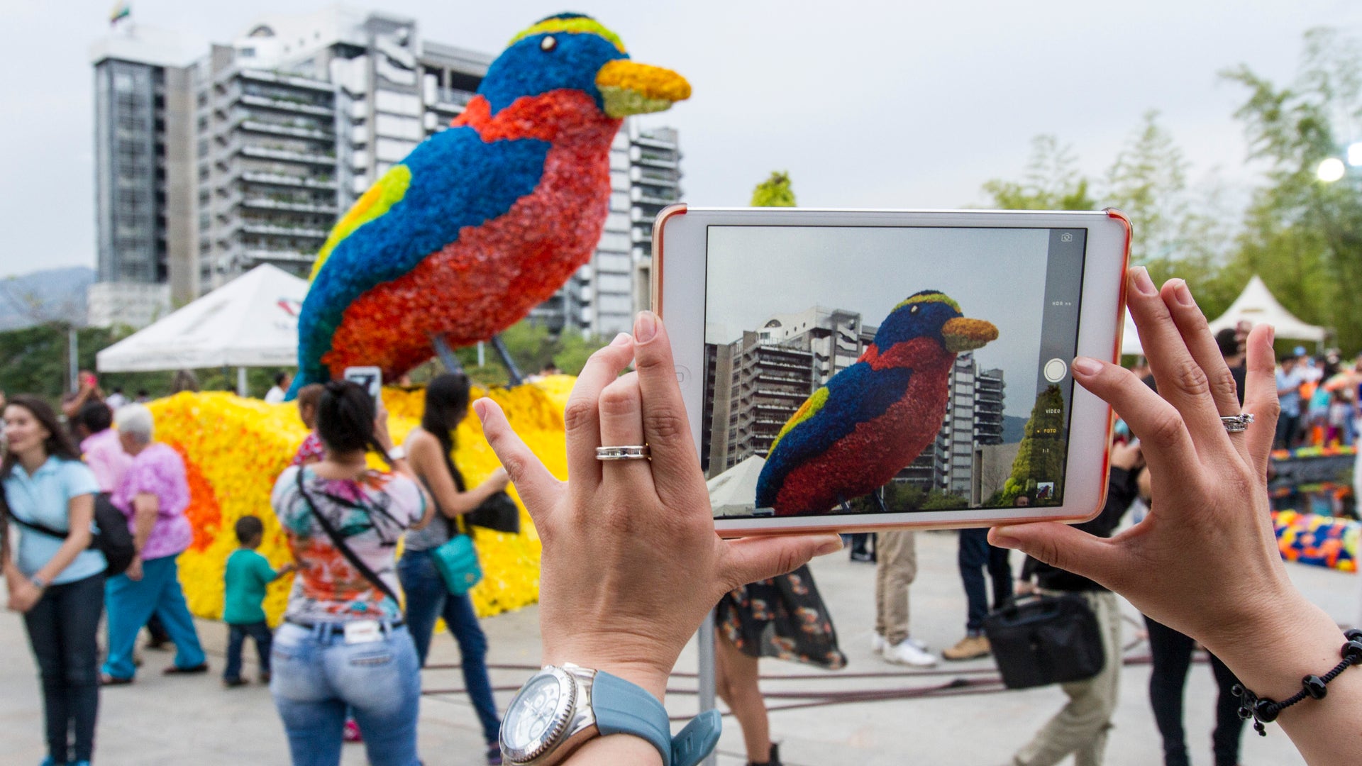Feria_de_las_flores_6