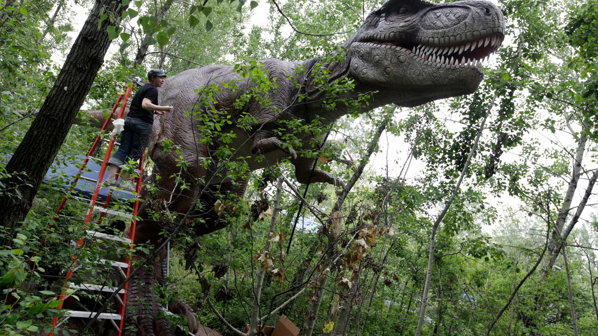 Field_Station_Dinosaur_4