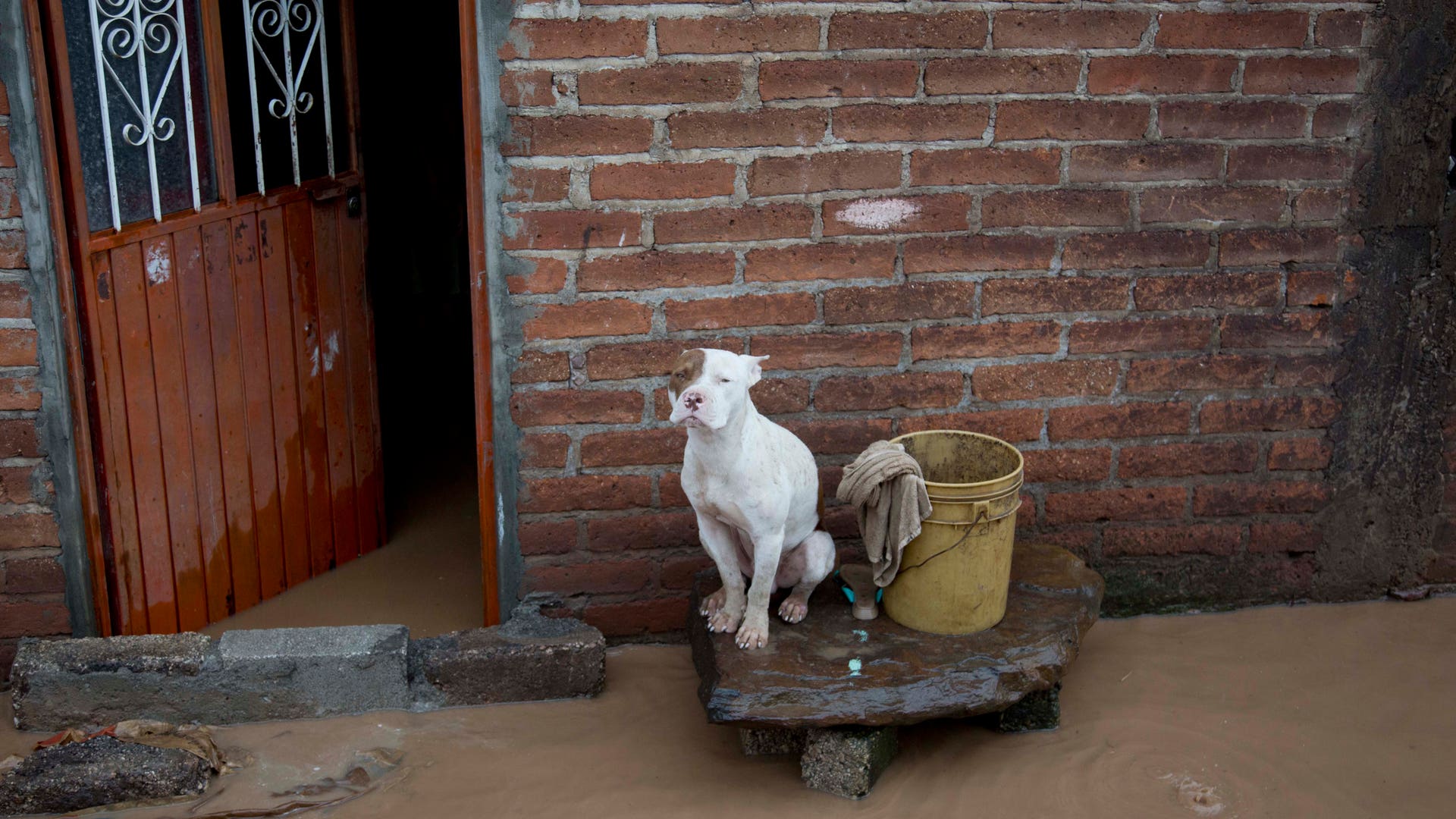 Flooded_Mexico_Patricia__8_