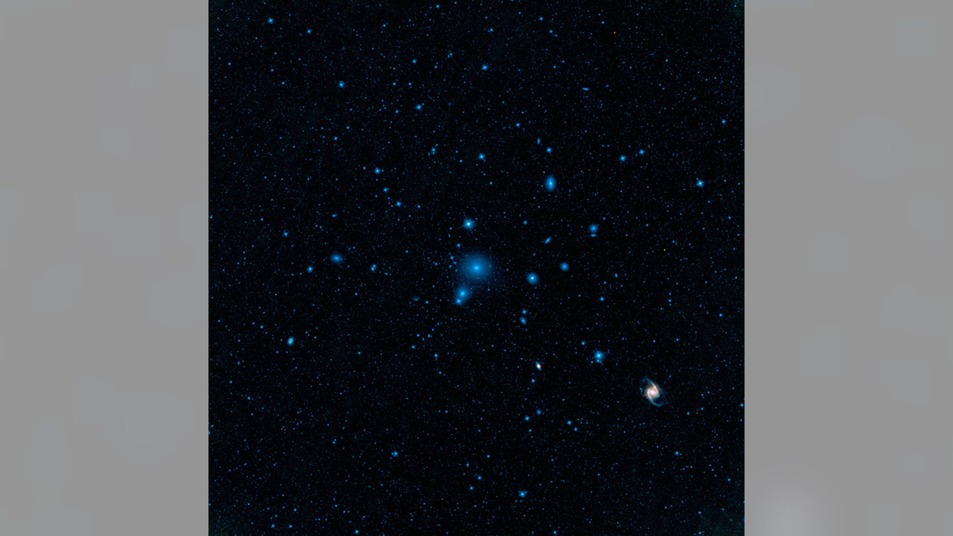 The Fornax Cluster